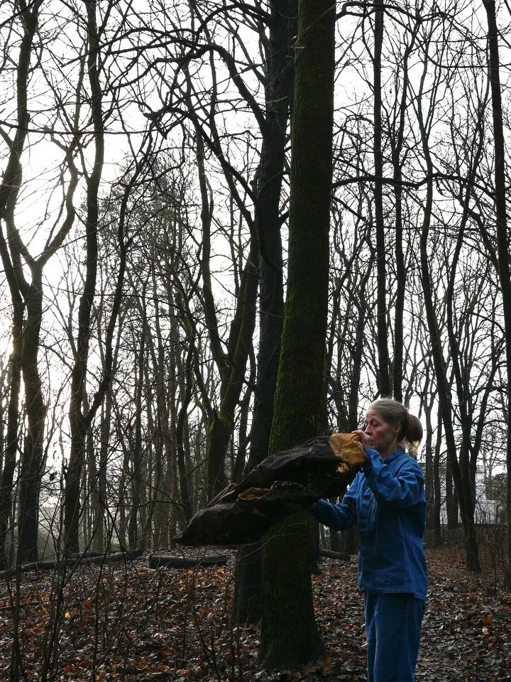 Dag 74; &laquo;Et rom uten d&oslash;r&raquo;
16. desember 2025
12 grader (!!)
Sted: Engelske park, Oslo
 
Jeg m&aring;tte pr&oslash;ve silkeskulpturen p&aring; hodet en gang til f&oslash;r jeg kan velge om det skal bli med videre. Det er ikke lenge t