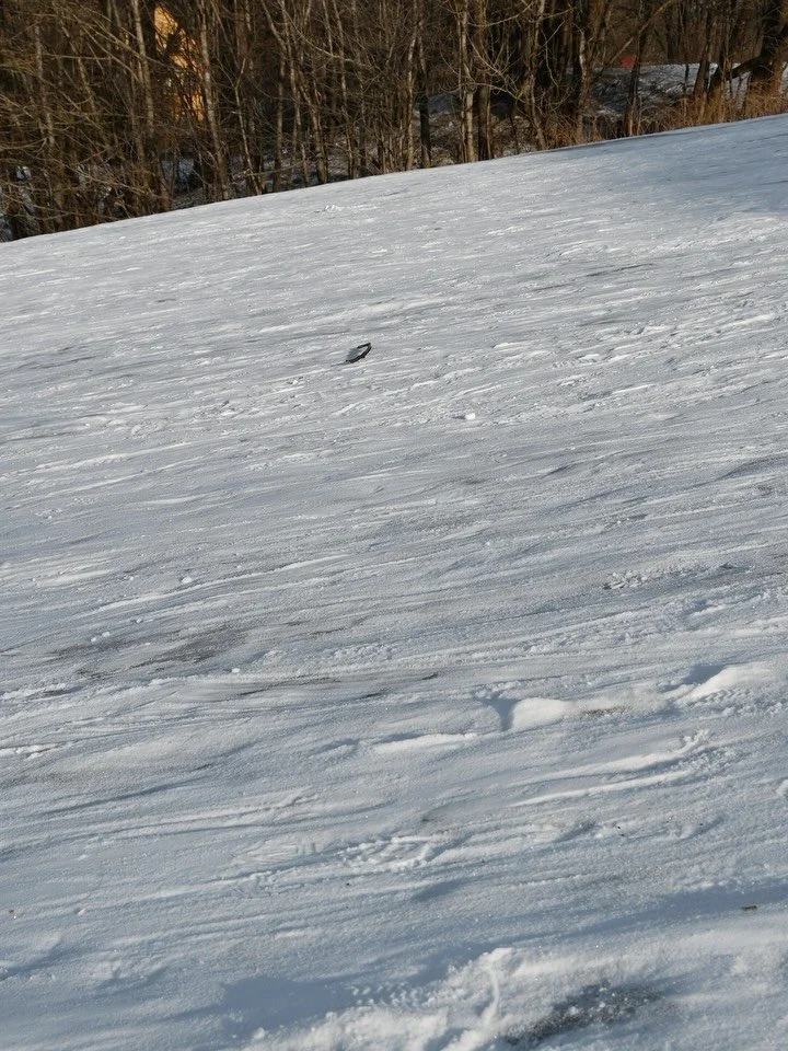 Dag 75; &laquo;Et rom uten d&oslash;r&raquo;
12.februar 2026
-6 grader
Sted: Akebakken ved Sk&oslash;yen terrasse

For f&oslash;rste gang p&aring; lenge hadde jeg ingen silke tilgjengelig. Ikke i sekken, ikke p&aring; hodet og ikke p&aring; sykkelen.