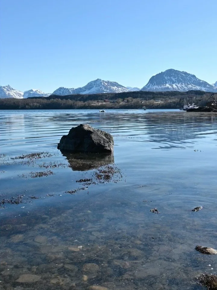 Dag 77; &laquo;Et rom uten d&oslash;r&raquo;
18.april 2026
Sted: Nordland
 
Jeg er p&aring; kunstnerresidens hos Eva Bakkeslett p&aring; hennes fantastiske sted i Steigen kommune. Oppholdet i denne overveldende tilstedev&aelig;rende naturen planlegge
