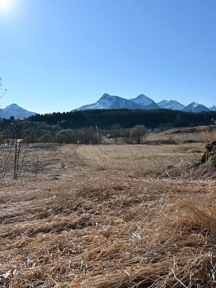 Dag 78; &laquo;Et rom uten d&oslash;r&raquo;
19.april 2026
Sted: Nordland
 
Det brune jordet. Ensfarget lysebrunt. Jeg kan ikke se om det er dyrket mark eller bare eng som har blitt liggende fra i fjor, og som blir til gress for kyr og sau rundt p&ar