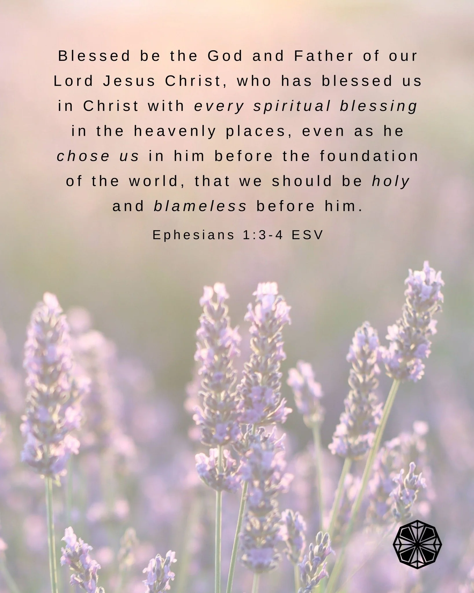 Eastertide Day 11

READ:
Ephesians 1:3&ndash;14
Blessed be the God and Father of our Lord Jesus Christ, who has blessed us in Christ with every spiritual blessing in the heavenly places, even as he chose us in him before the foundation of the world, 