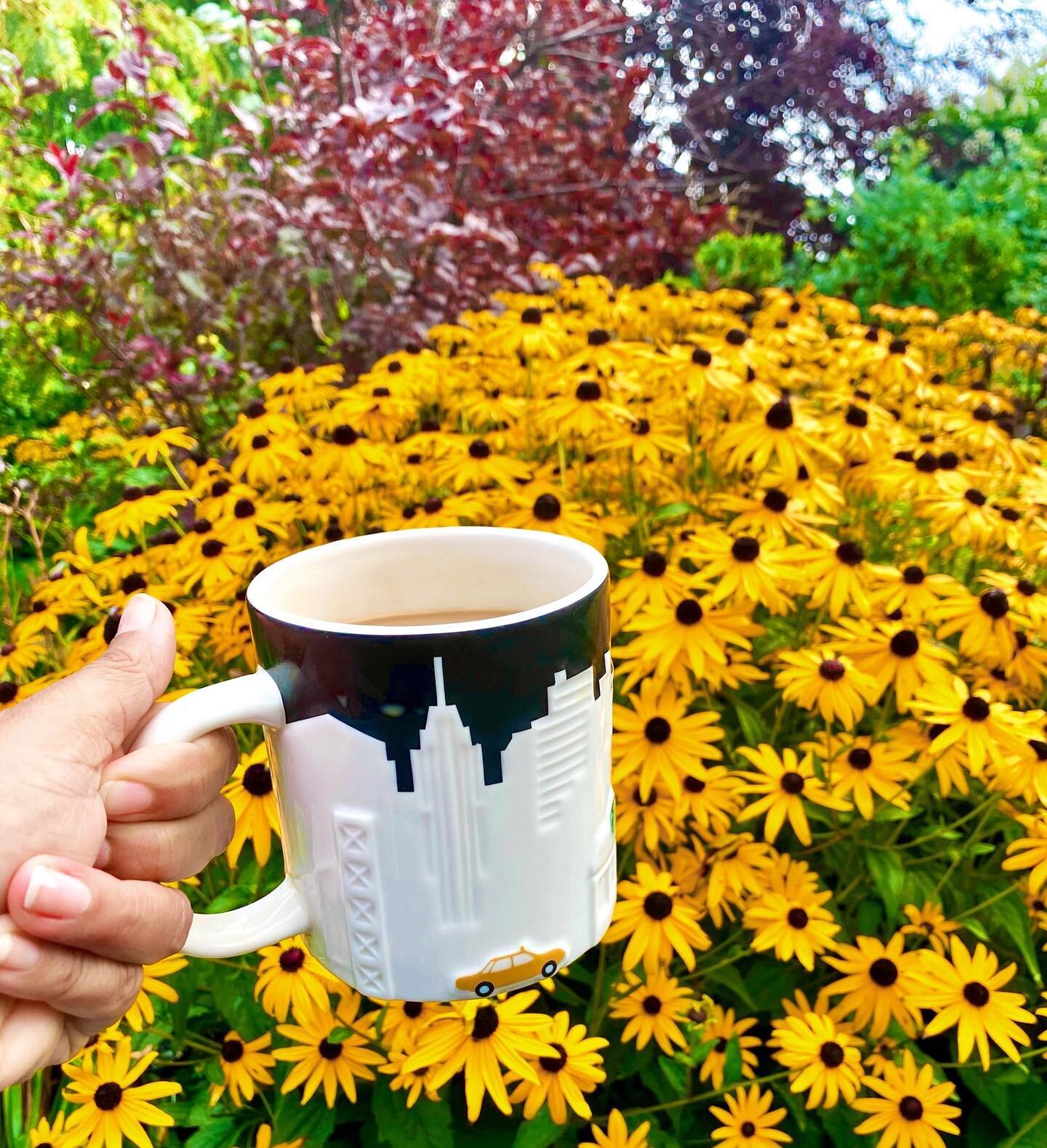 From yellow cabs 🚕 thru Central Park in NYC to morning ☕️ with my yellow flowers 🌼 in the country.

From working for others to working for myself, I cherish 🙏🏻 all parts of my journey. 

✍🏽 To learn more about my journey &amp; what I&rsquo;ve le