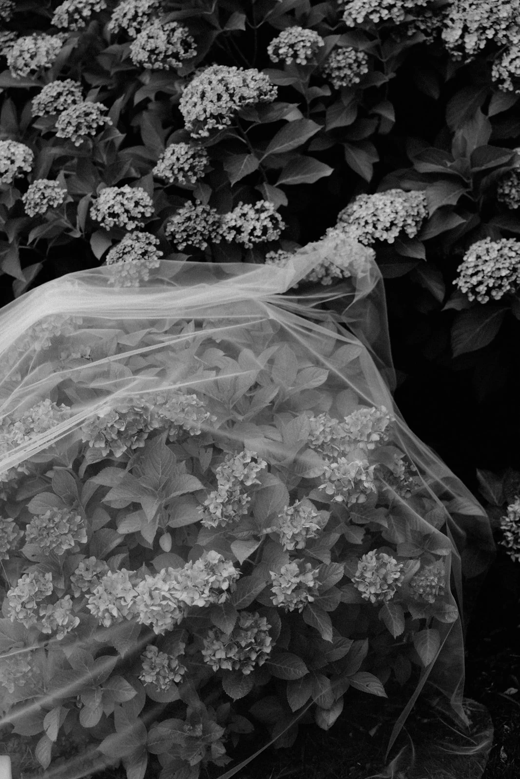 paris-yvelines-provence-vallee-de-la-loire-photographe-mariage-solene-lagant-00097.jpg
