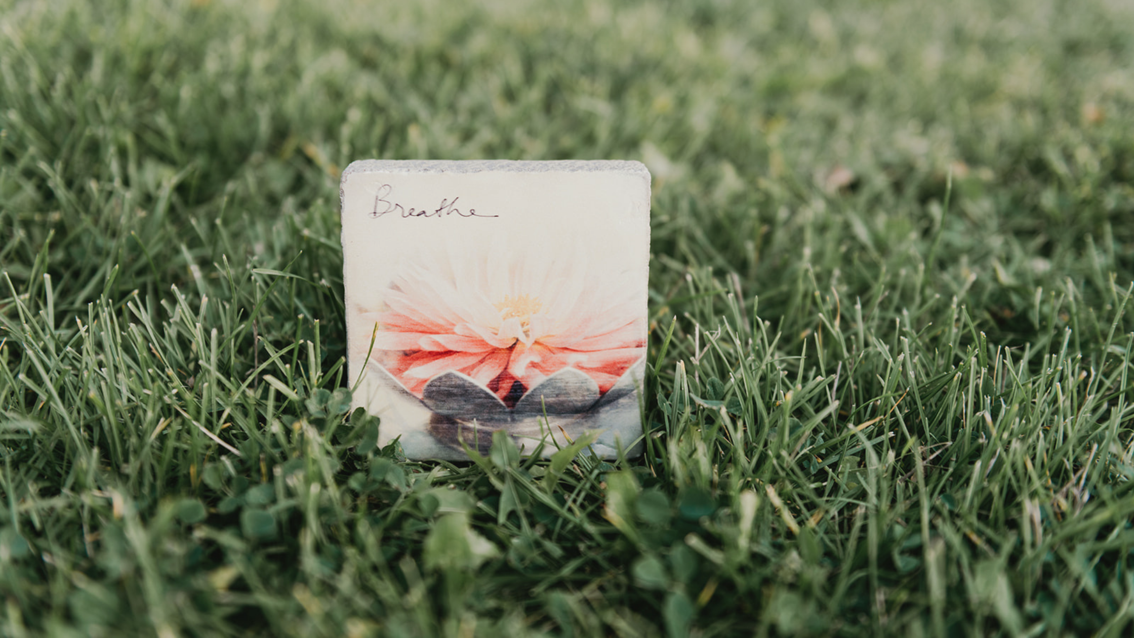 Working In vs Working Out