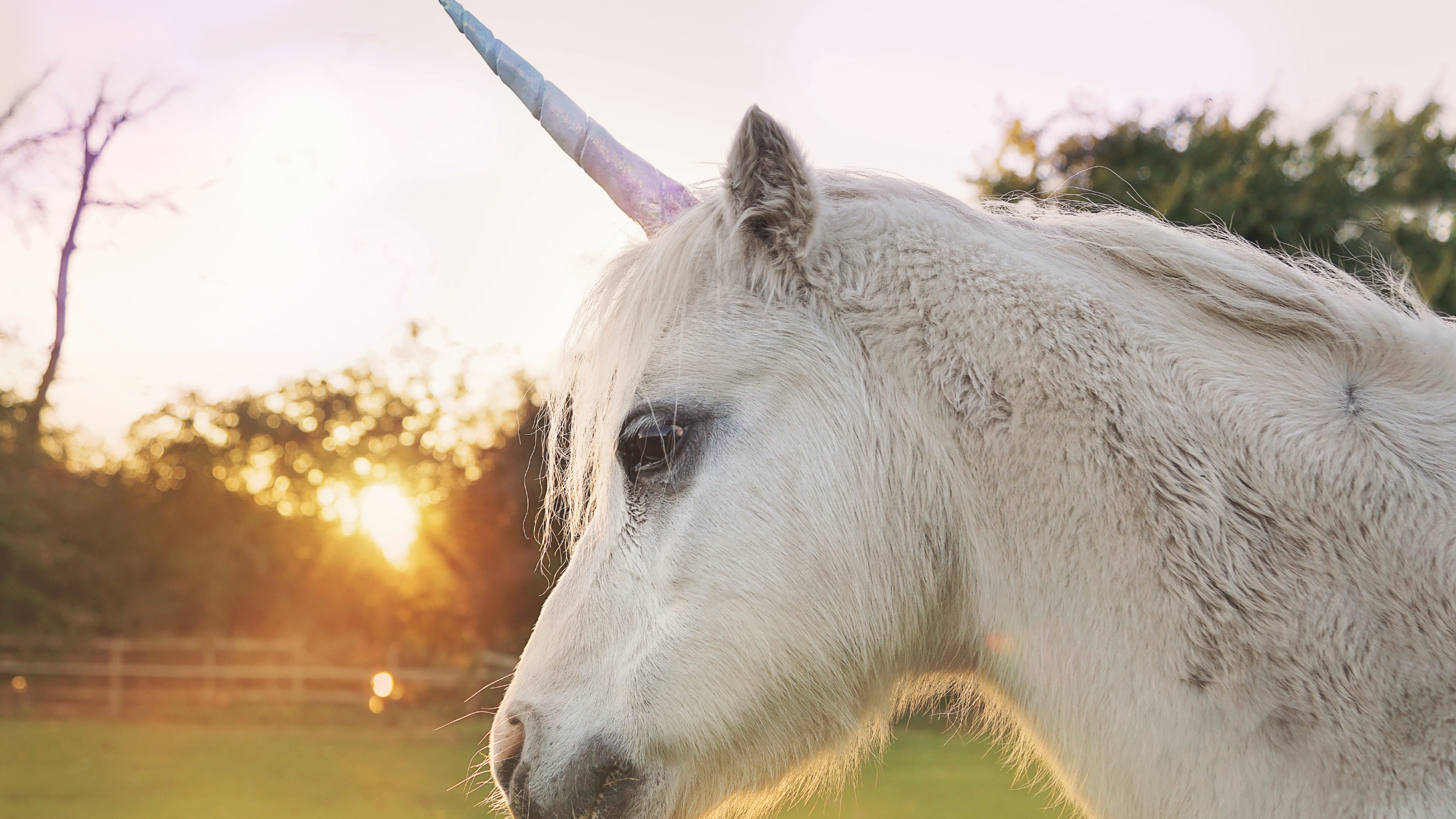 Different isn't wrong