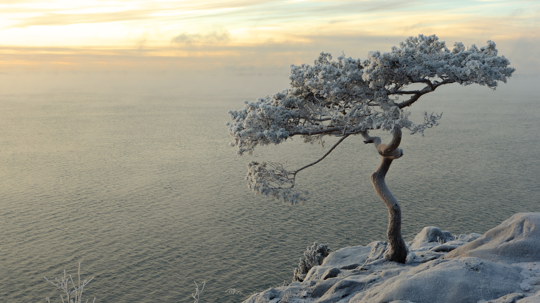 Your Brilliance Is In Your Resilience