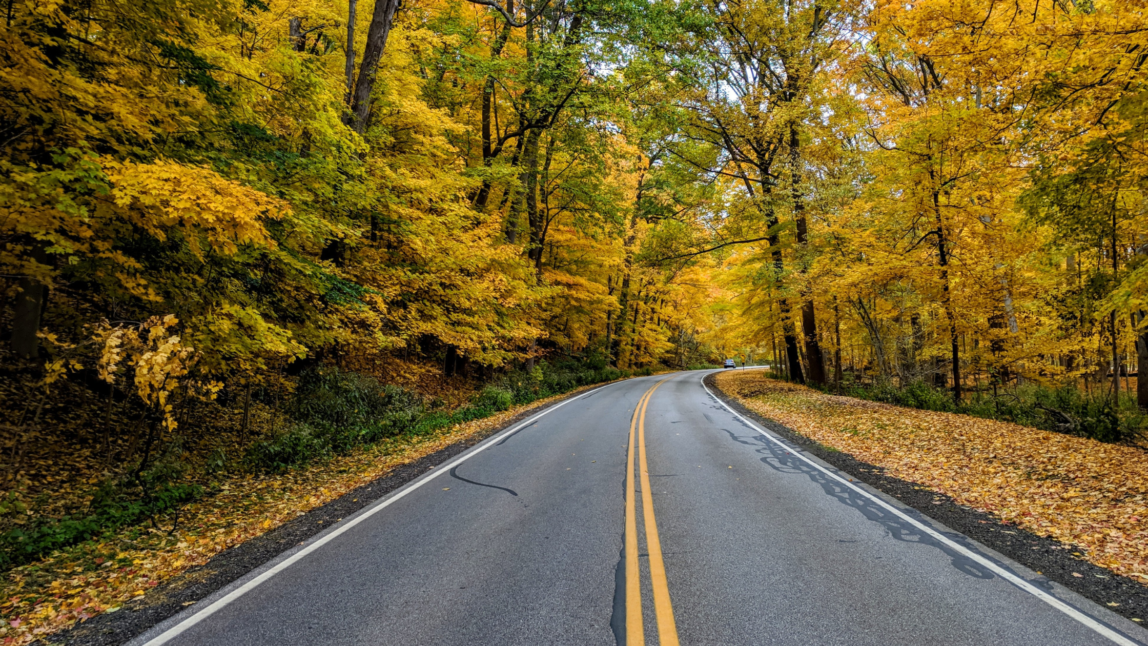 The Power of Small Steps in Your Health Journey