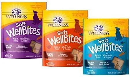 wellness wellbites