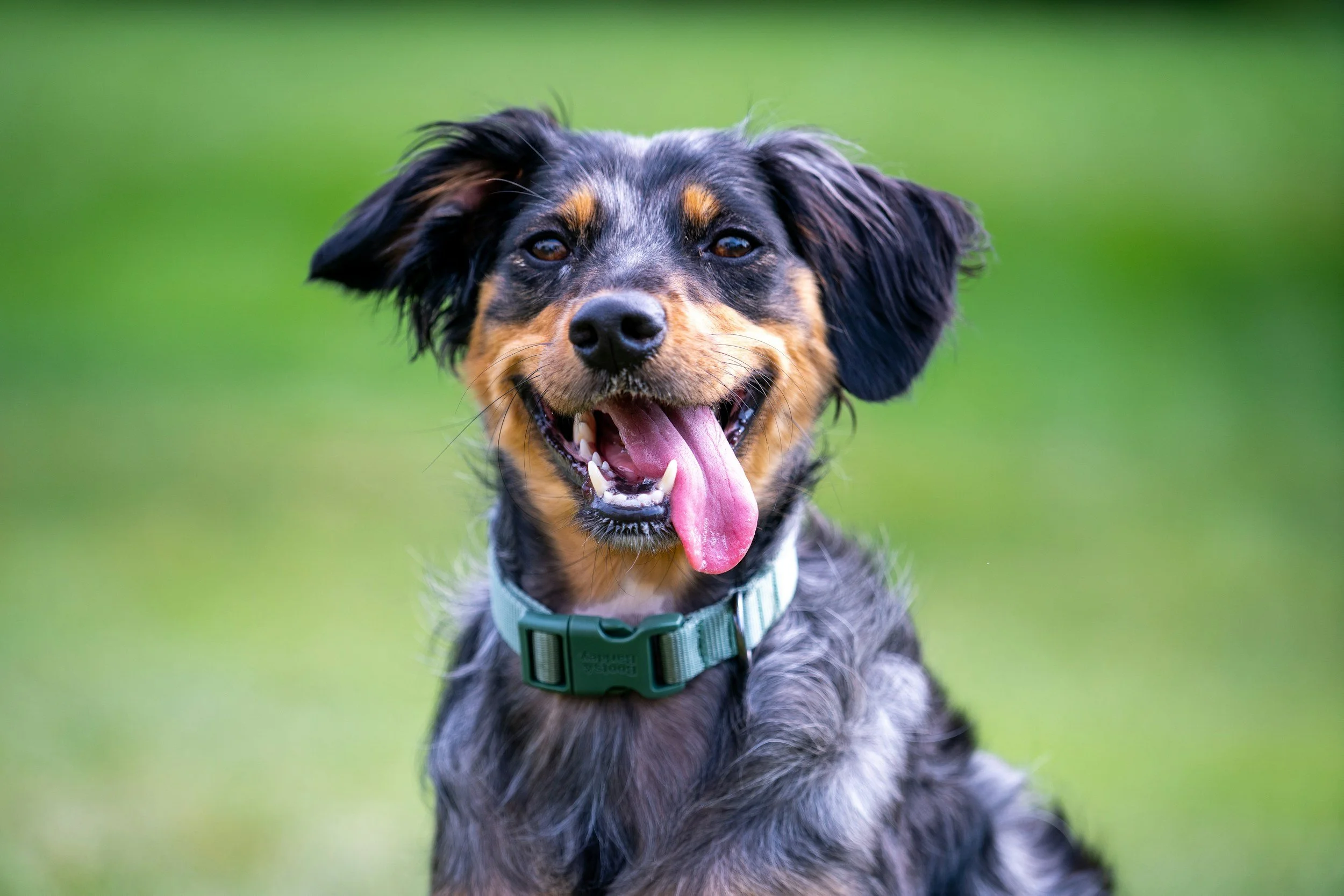 Medications, Dry Mouth &amp; What to Do