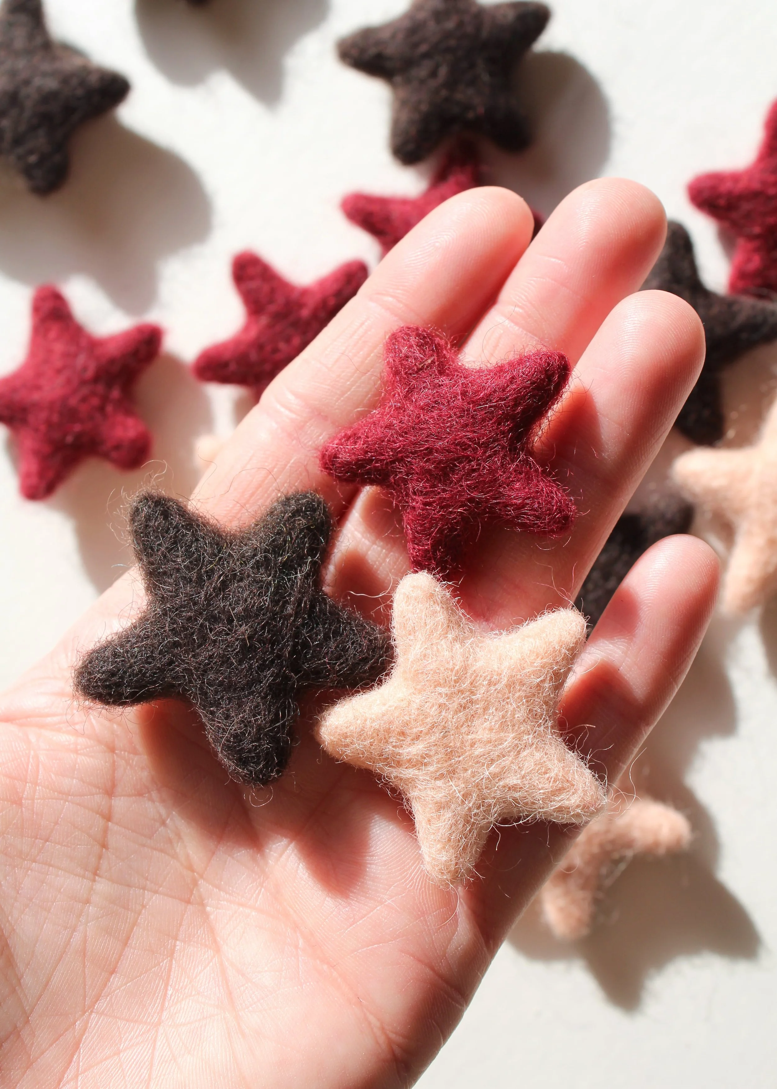 IMG_2531 copy-min.jpg