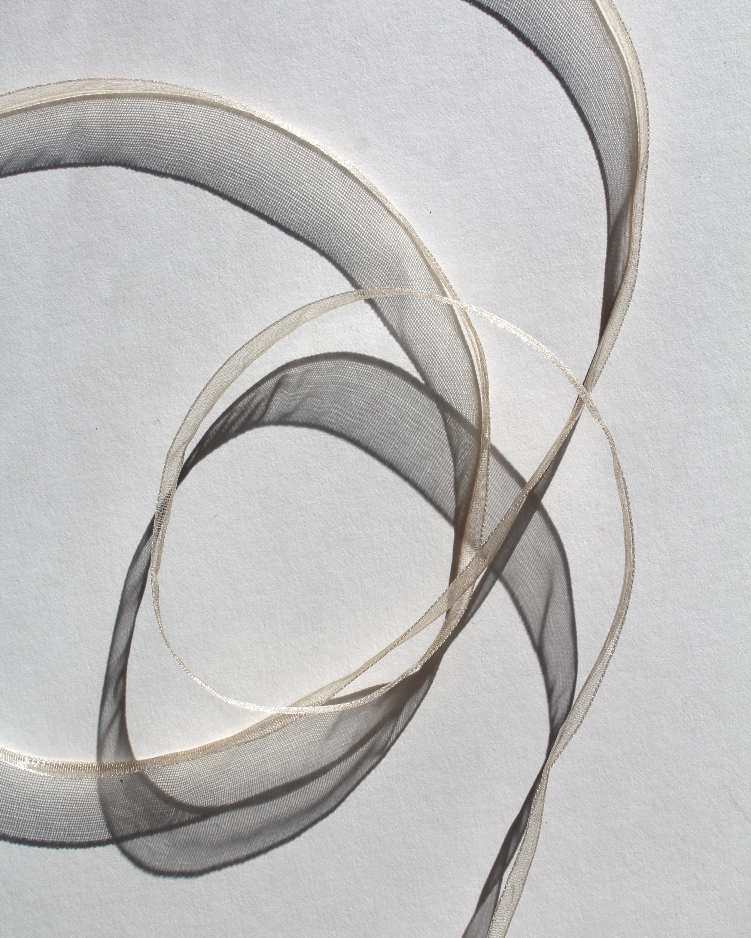 Ribbon 5.jpg