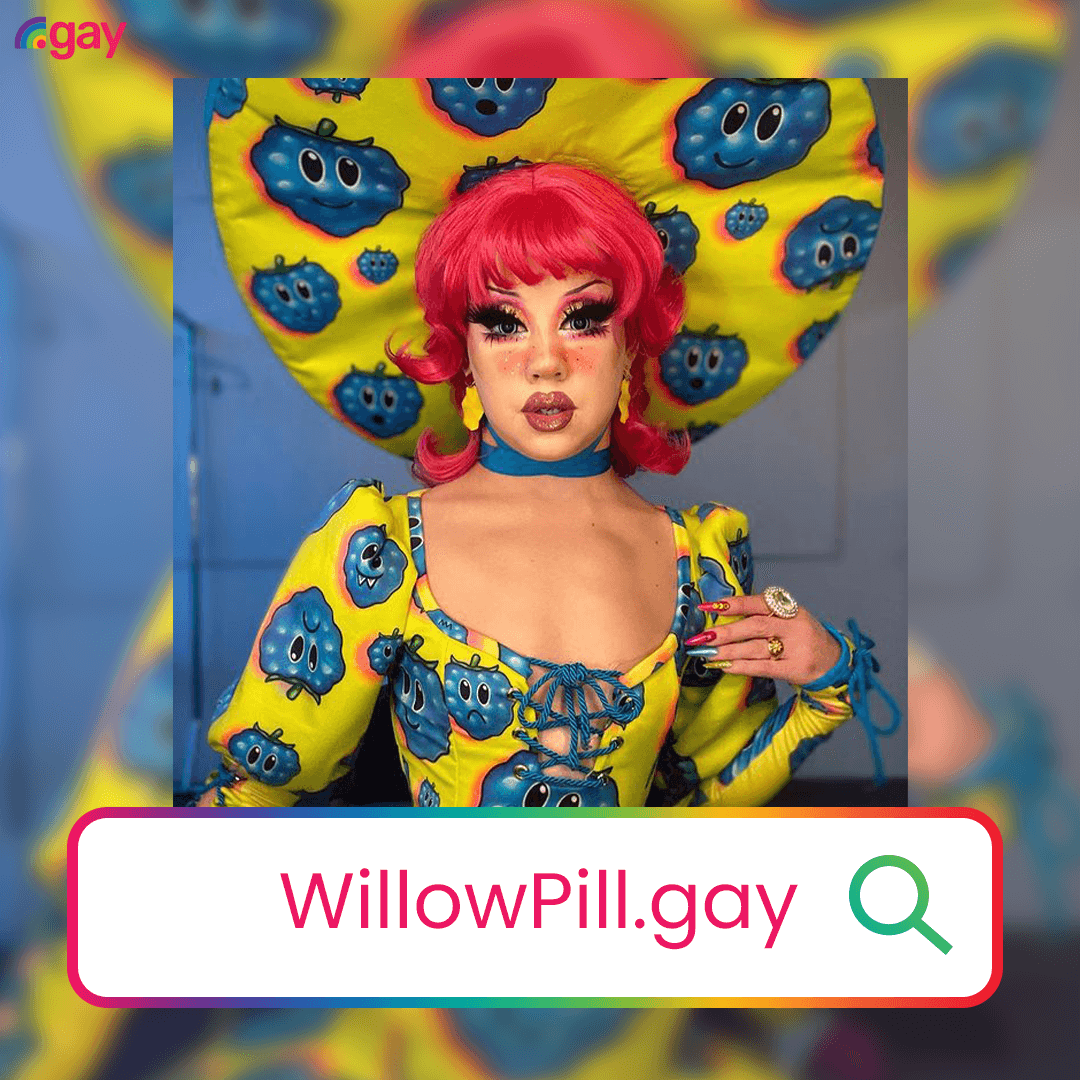 willowpill.gay.PNG