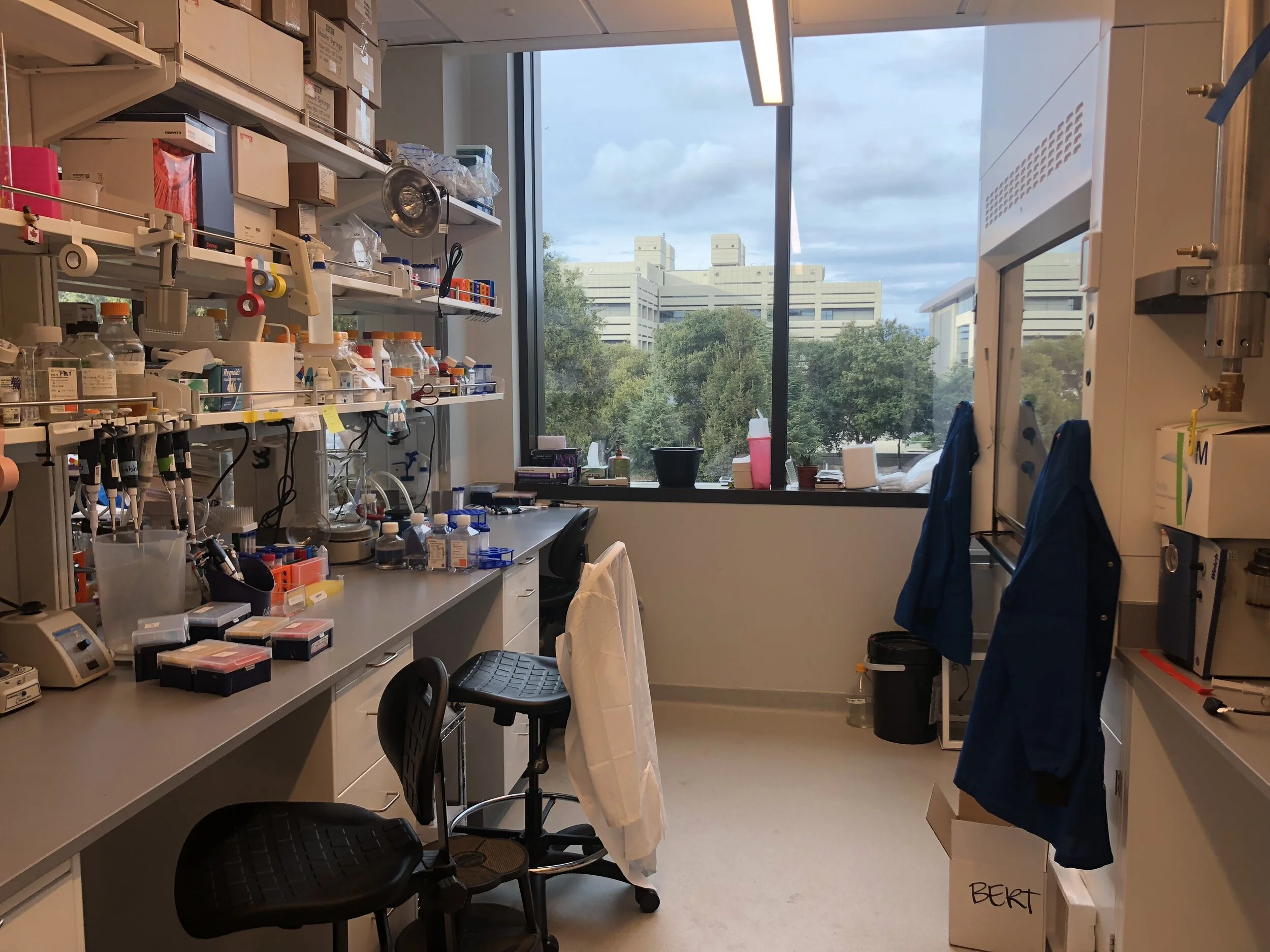 We are located directly across from Stanford Bioscience and Medical School buildings (out the window).