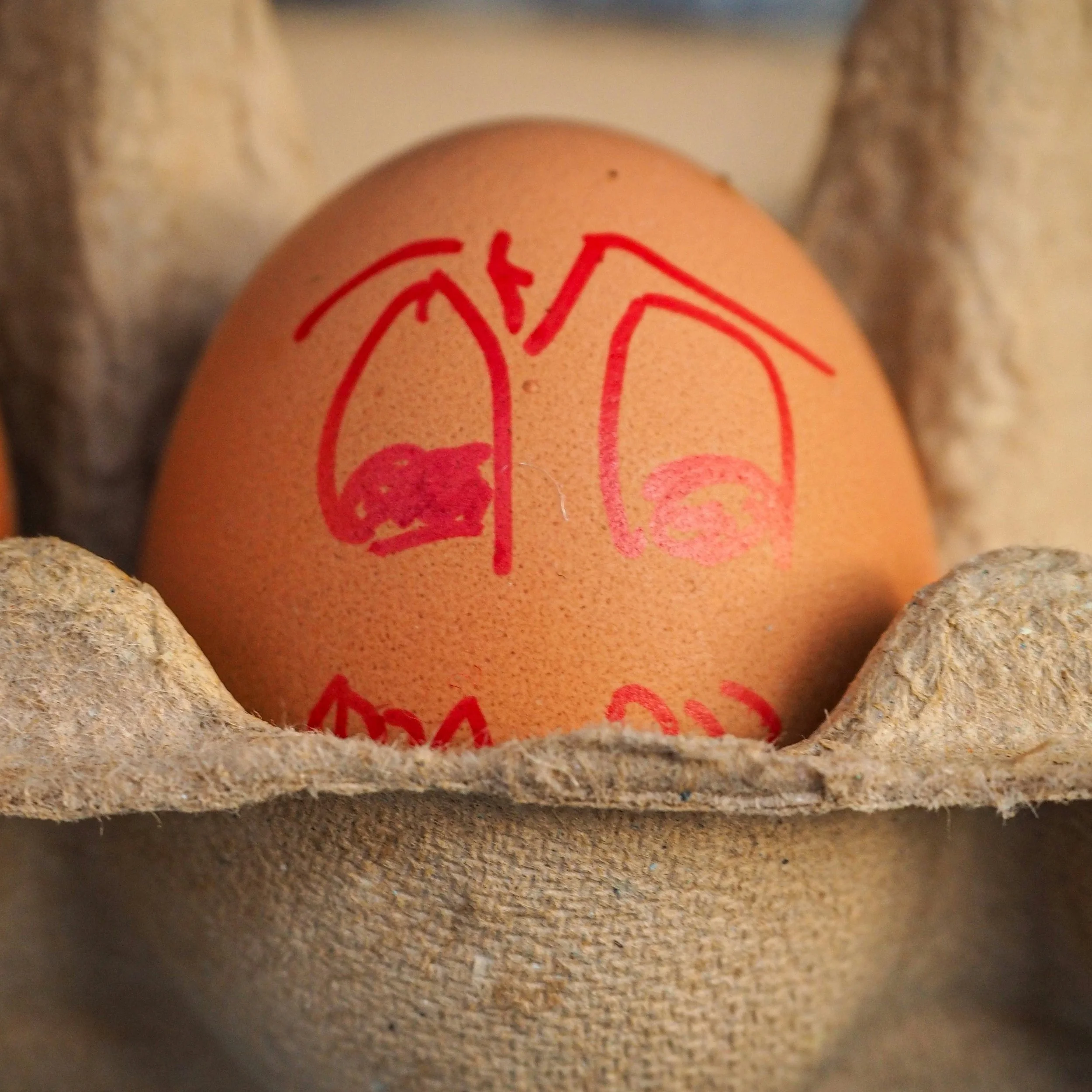 THE BIG BAD EGG: THE NEW HIT SINGLE!