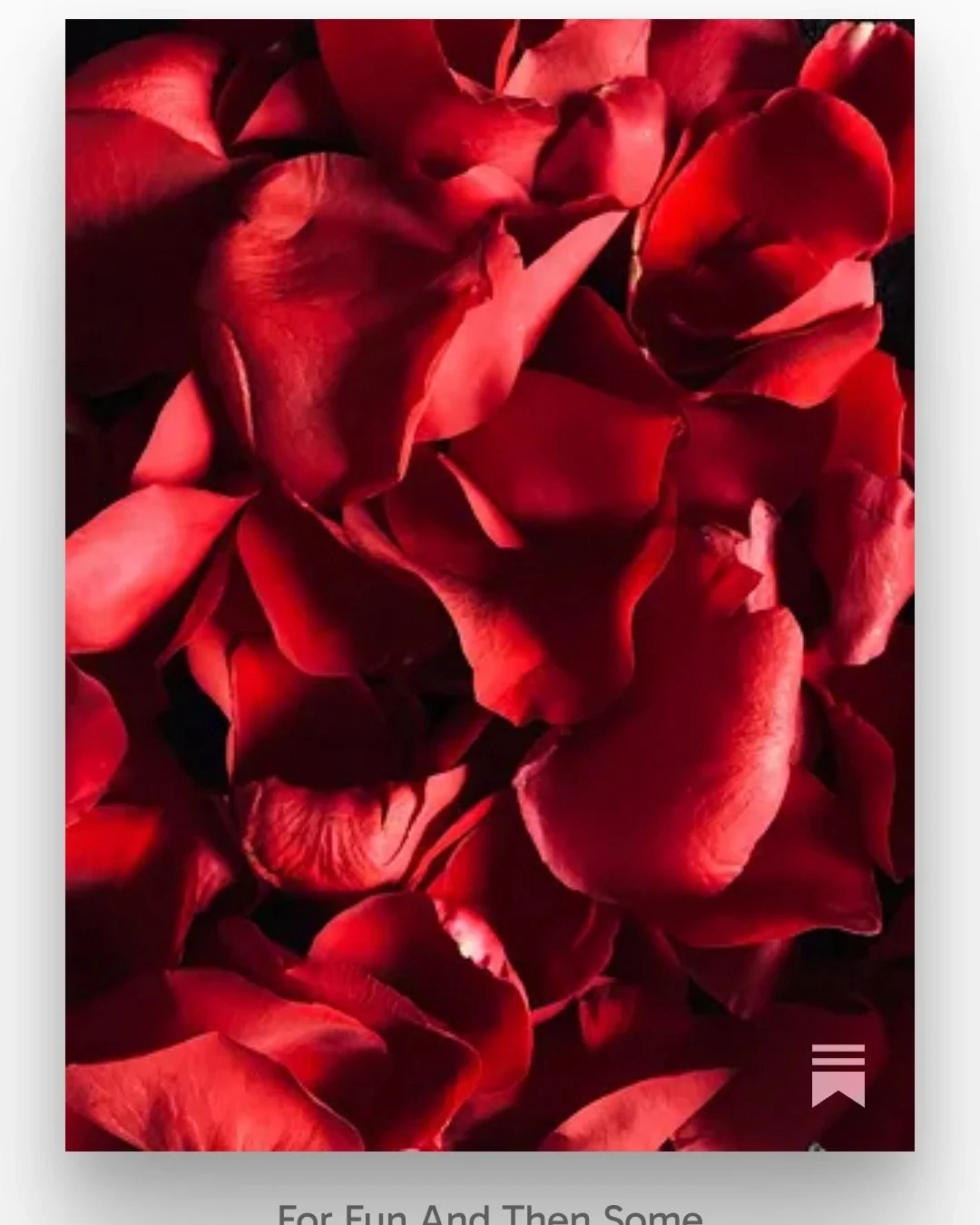 SOMETIMES WORDS CUDDLE