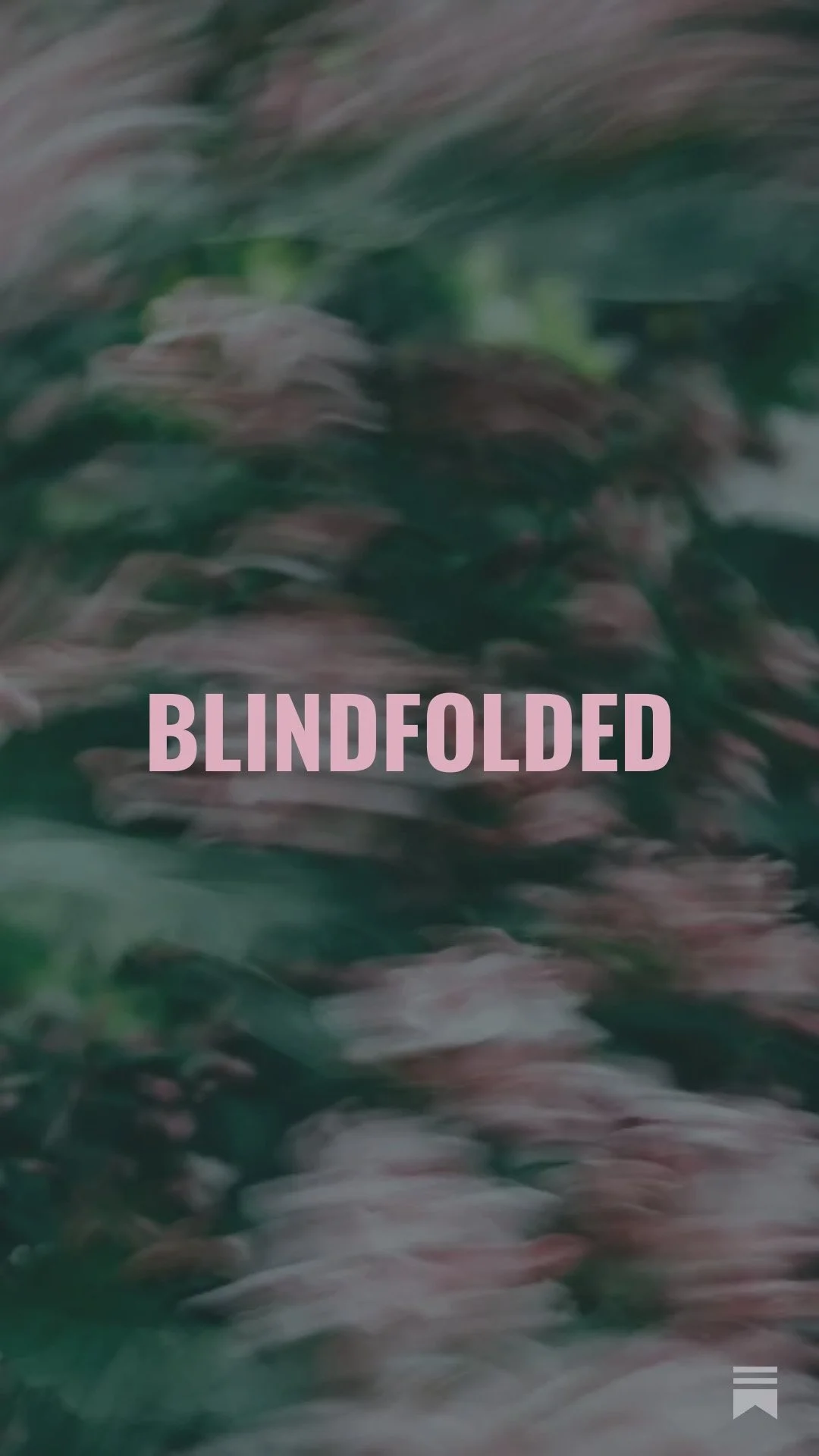 BLINDFOLDED