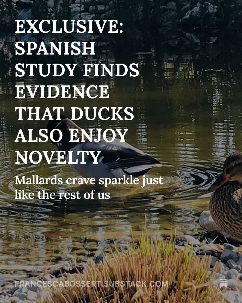 DUCKS DELUXE