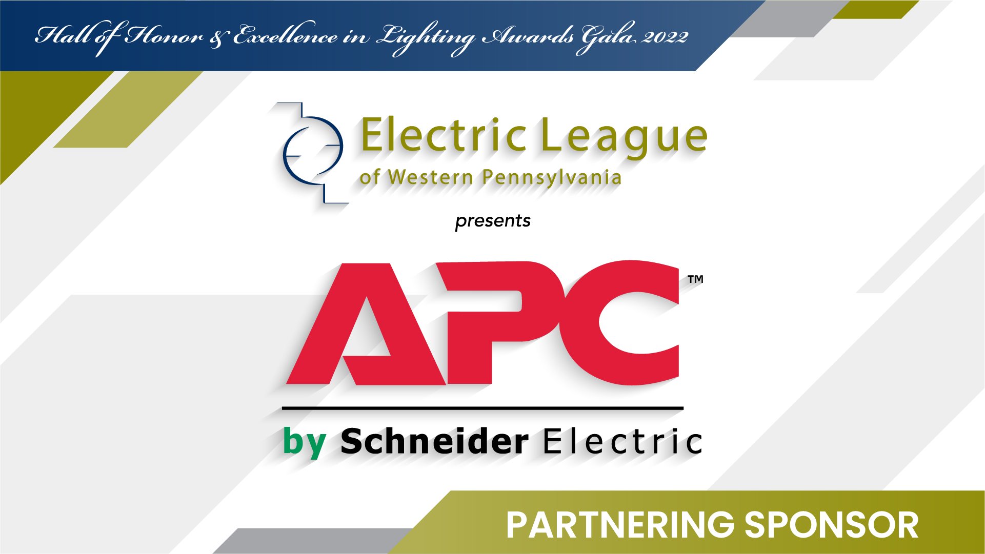 APC Schneider Electric - Partnering.jpg