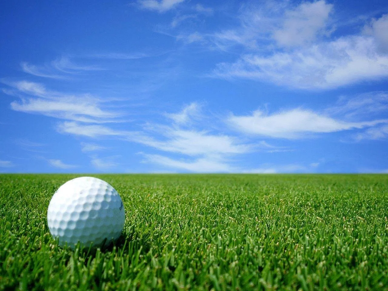 golf_background.jpg