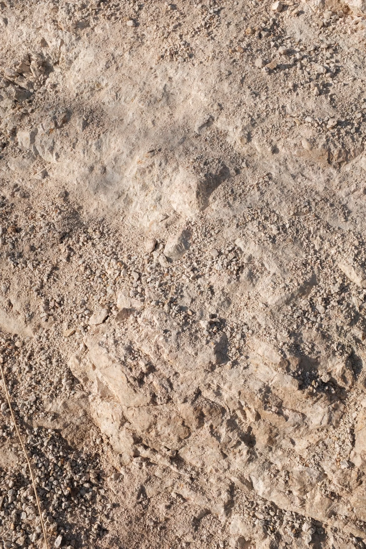 3E0FFBA4-1DEC-4216-9DF9-A15032EE70A5-3626-000000E2EBF941EA 2.JPG