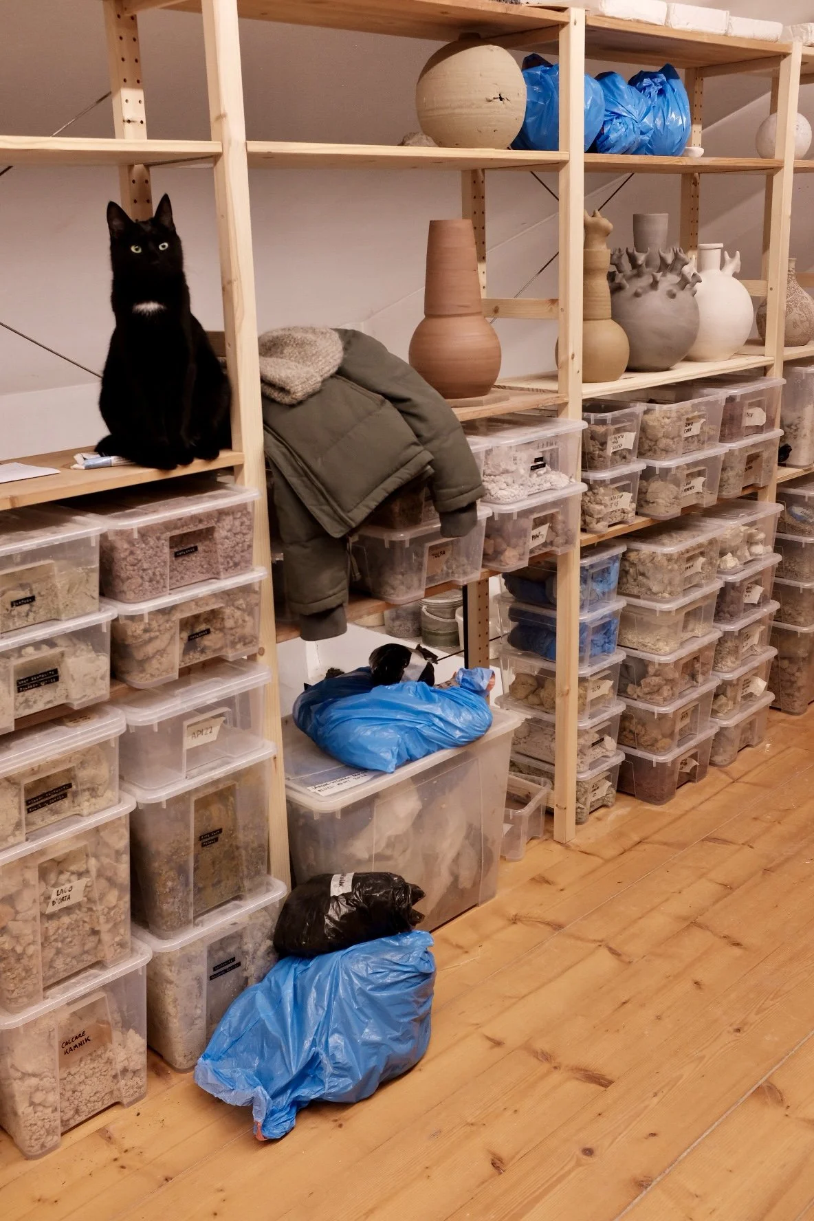 9A213972-51BF-46EB-A9CB-B31E96716E42-336-00000004721C7548 2.jpg