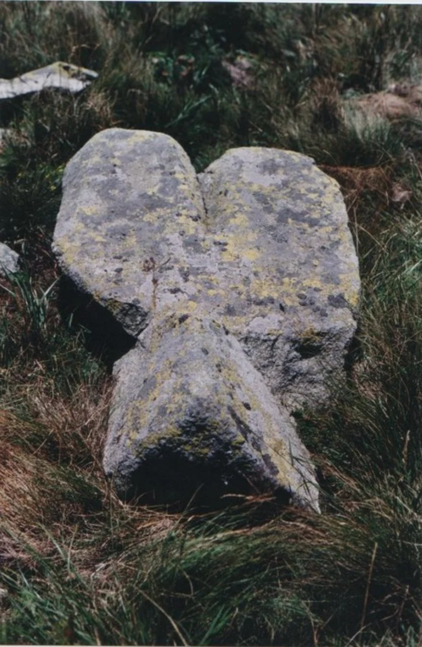 Photos by Ligurian Tommy Leggy