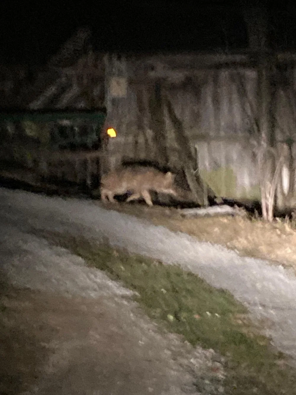 a062286d-8485-4b4f-a734-96f455bde1f8 2.JPG