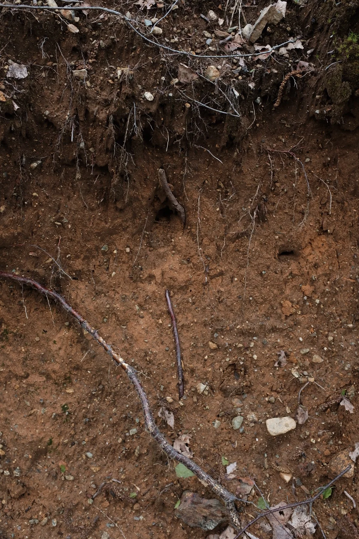 Growing list of publications, platforms and resources on wild clay, extractivism, land and rocks