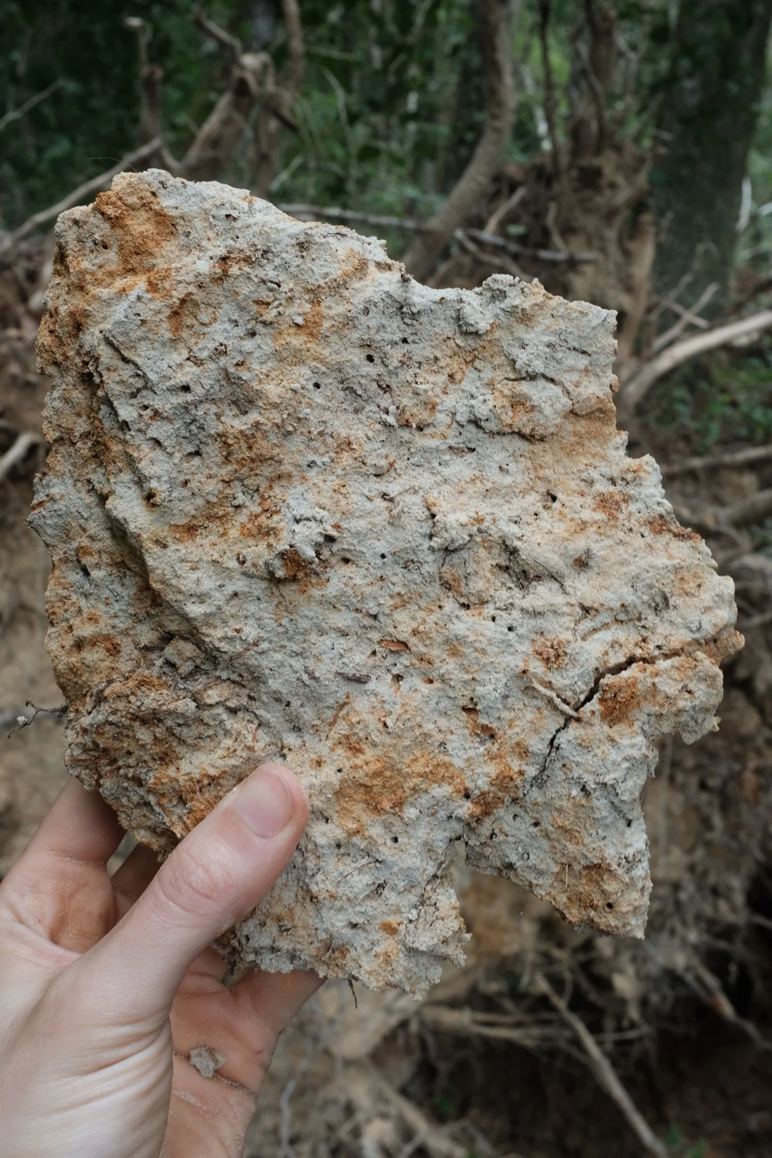 96B4942D-1F5B-4B61-812D-5B521DA9BAB3-1113-000000514A899A70 2.JPG