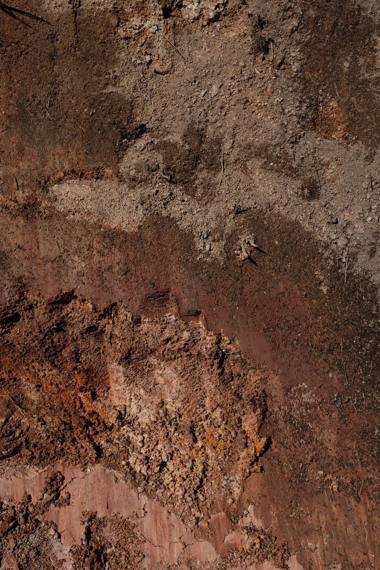 12DD2248-226E-4396-90C5-C43CF8F8BAF2-6543-0000014E77EB7811 2.JPG