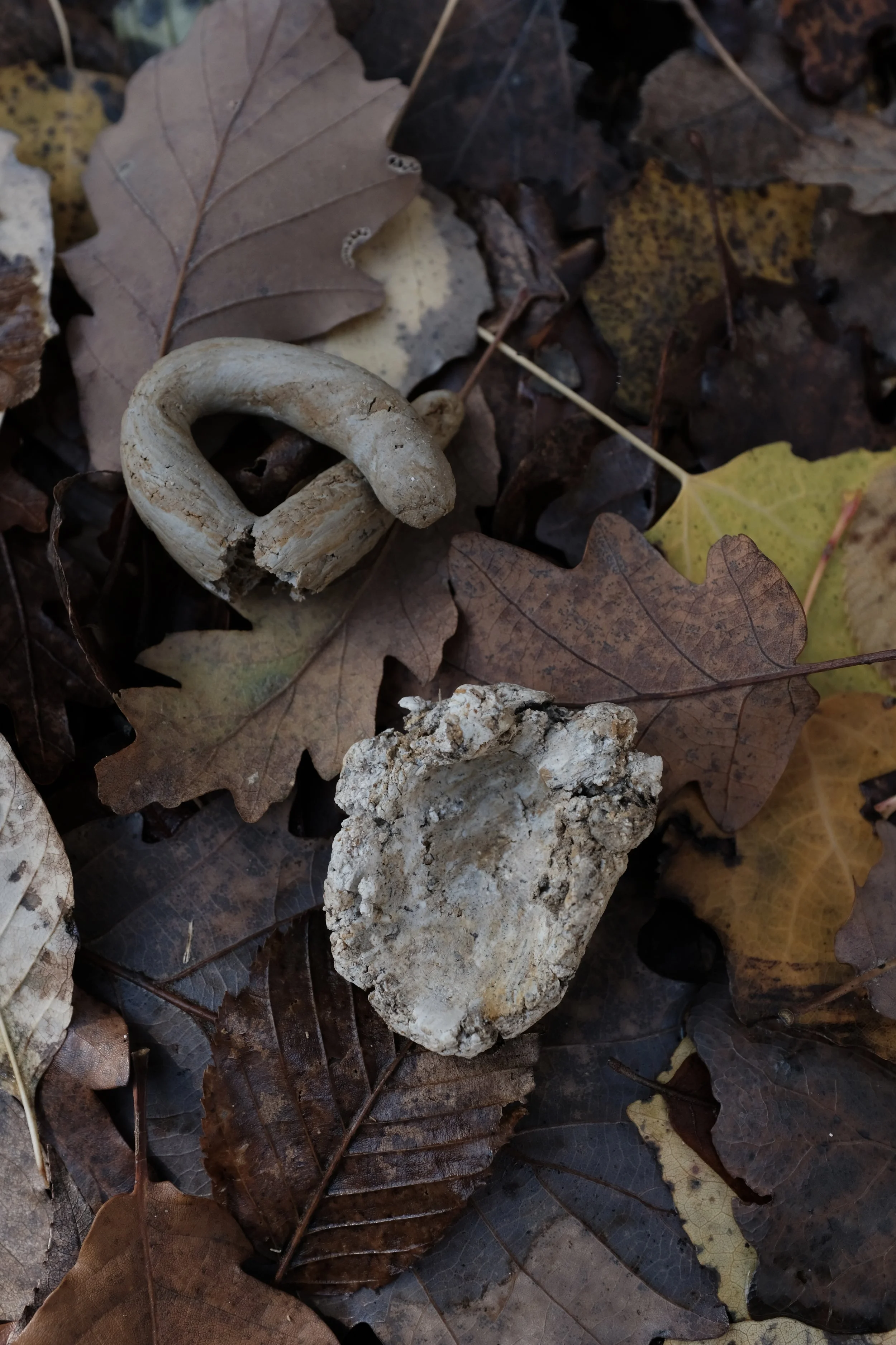 DSCF0487.jpg