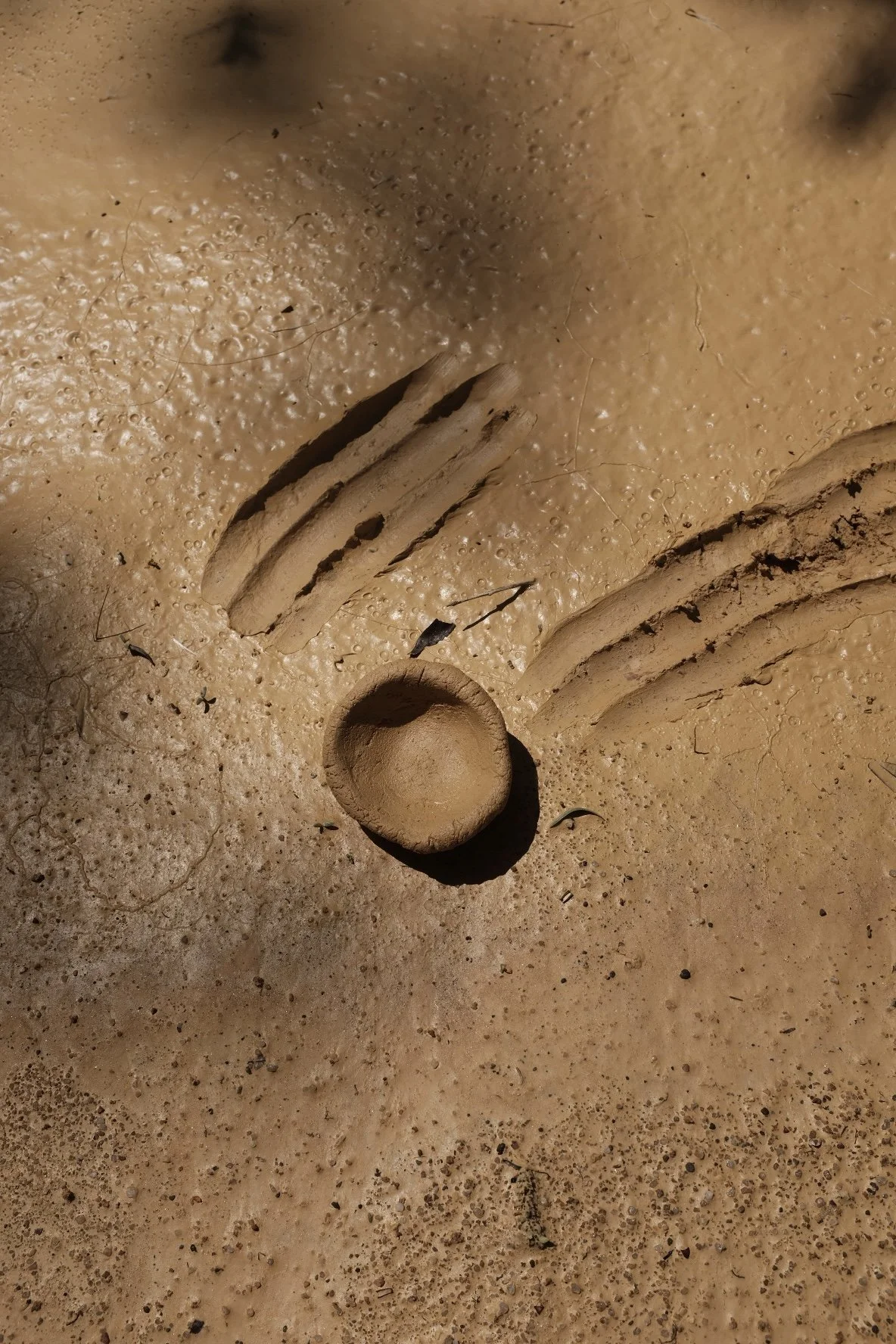 3D6906B3-90F4-4F4B-807B-0FC8A31A2A2F-1825-0000005E5EC58156 2.jpg