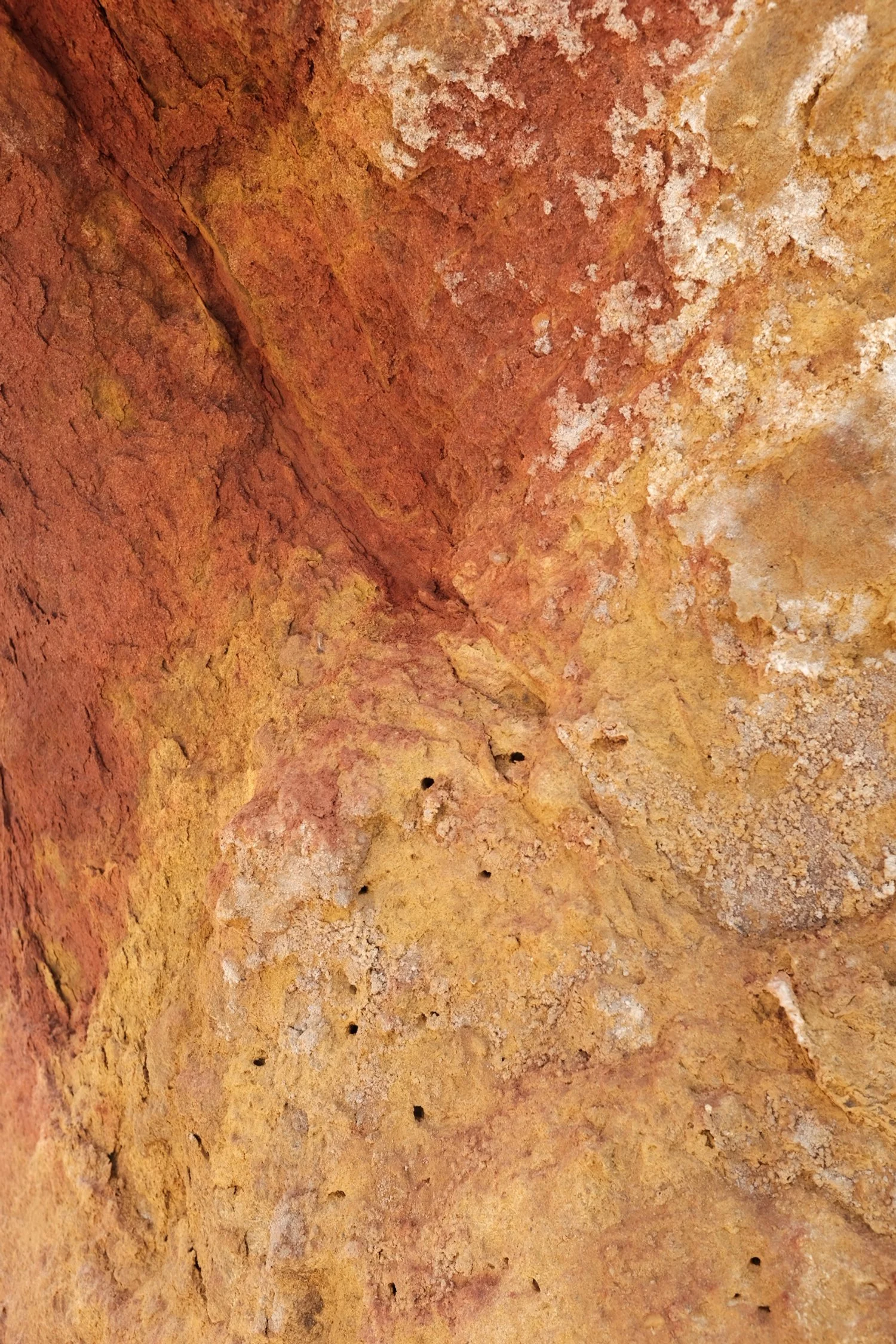 DE602474-AB4B-4987-9264-B46B74EE0329-1825-0000005C77B711BB 2.JPG