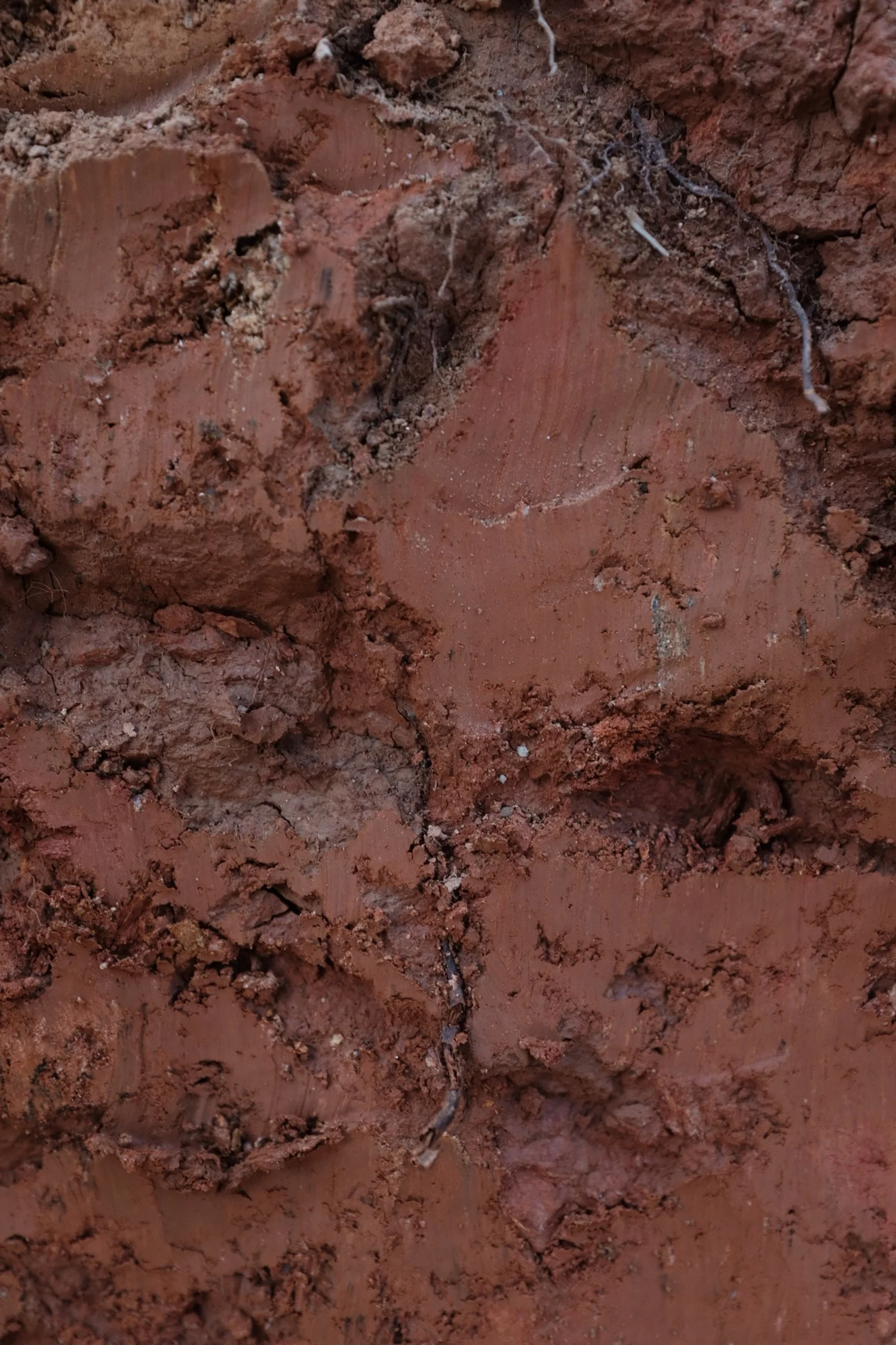 C0266310-B962-4A5F-9E06-A5077721A068-3626-000000E1D0CC8A84 2.JPG