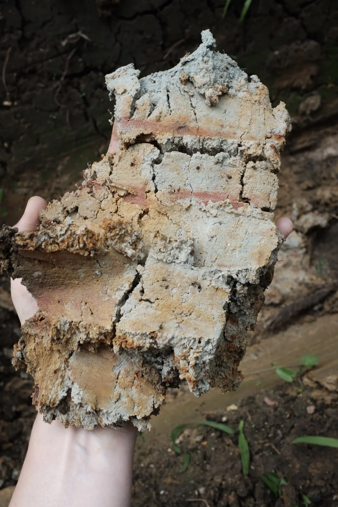 66FEEDA5-7E5F-4086-BBA0-6C3A3A9DDEEF-3698-000000BCFA5AF04A 2.jpg