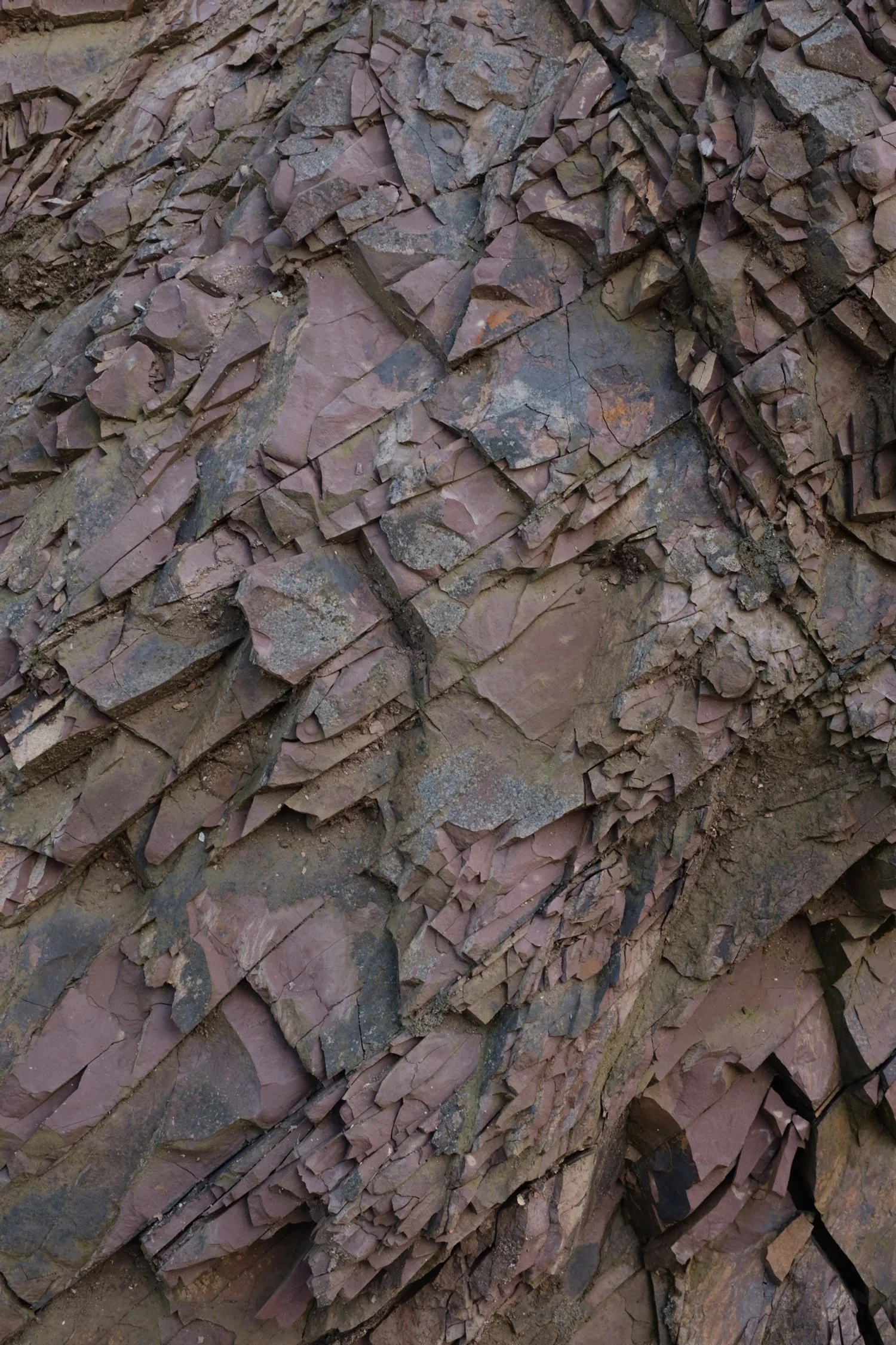 EED7F2EC-6555-4A38-BB52-E168AD99B7E4-3626-000000E42E3215C0 2.JPG