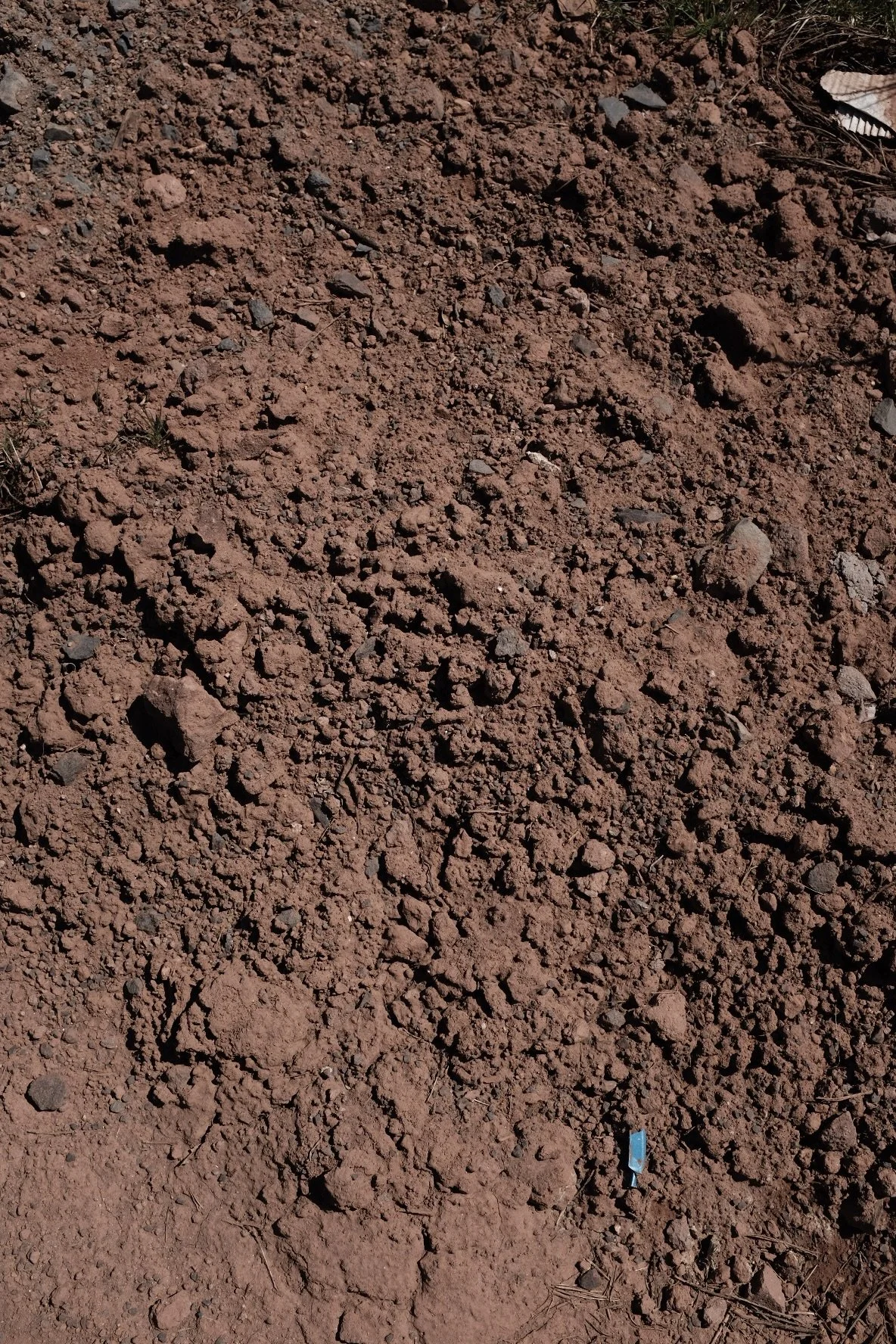 4AFDF0F0-BC59-4357-93BA-BD300F05B2EF-6201-0000014073A1F914 2.jpg