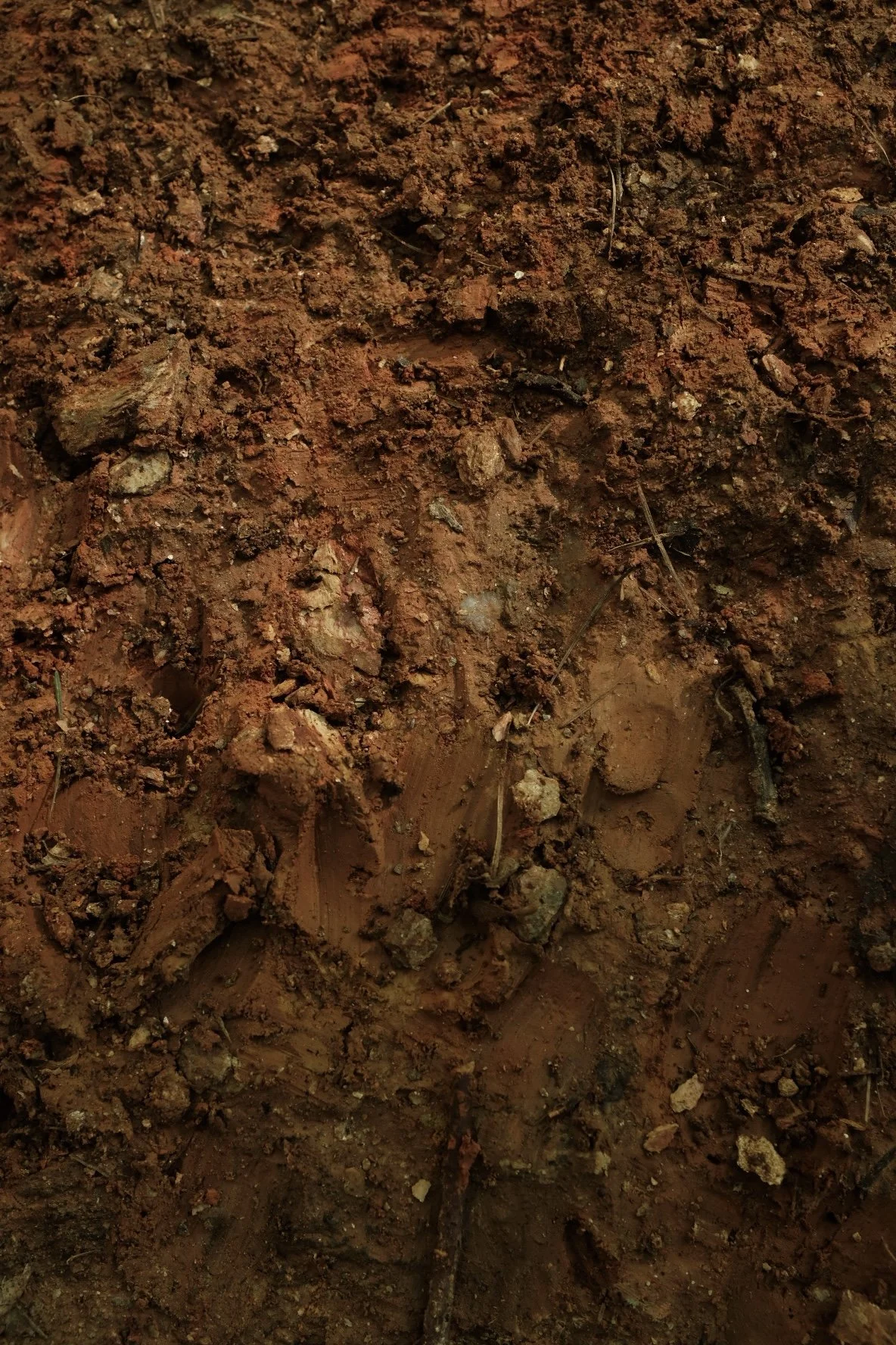 C75C207A-BF66-4FF9-BE6E-4C2BAF419376-832-0000003245A8449B 2.jpg