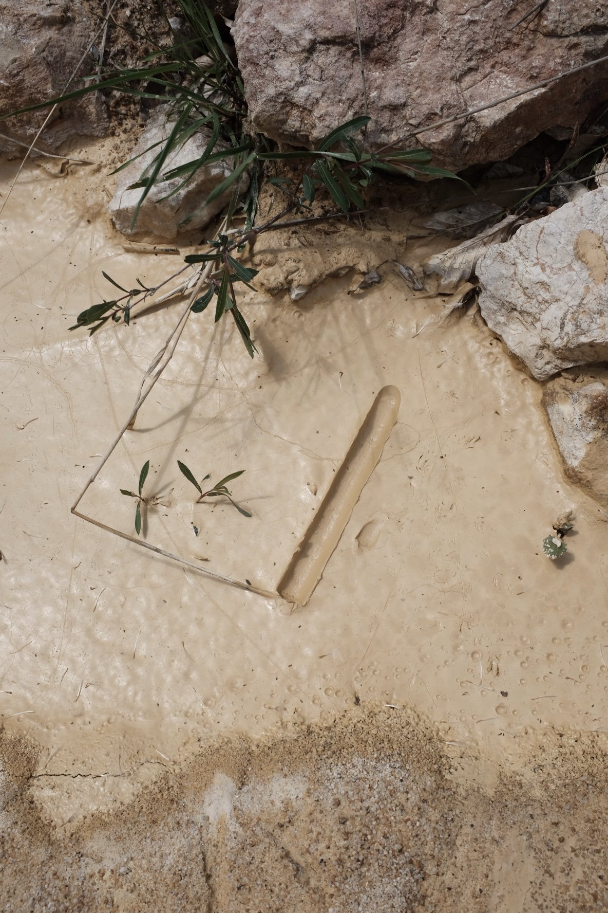 B51D522B-23B2-4971-9D4F-559F1AC497E0-1825-0000005CF783E72B 3.jpg