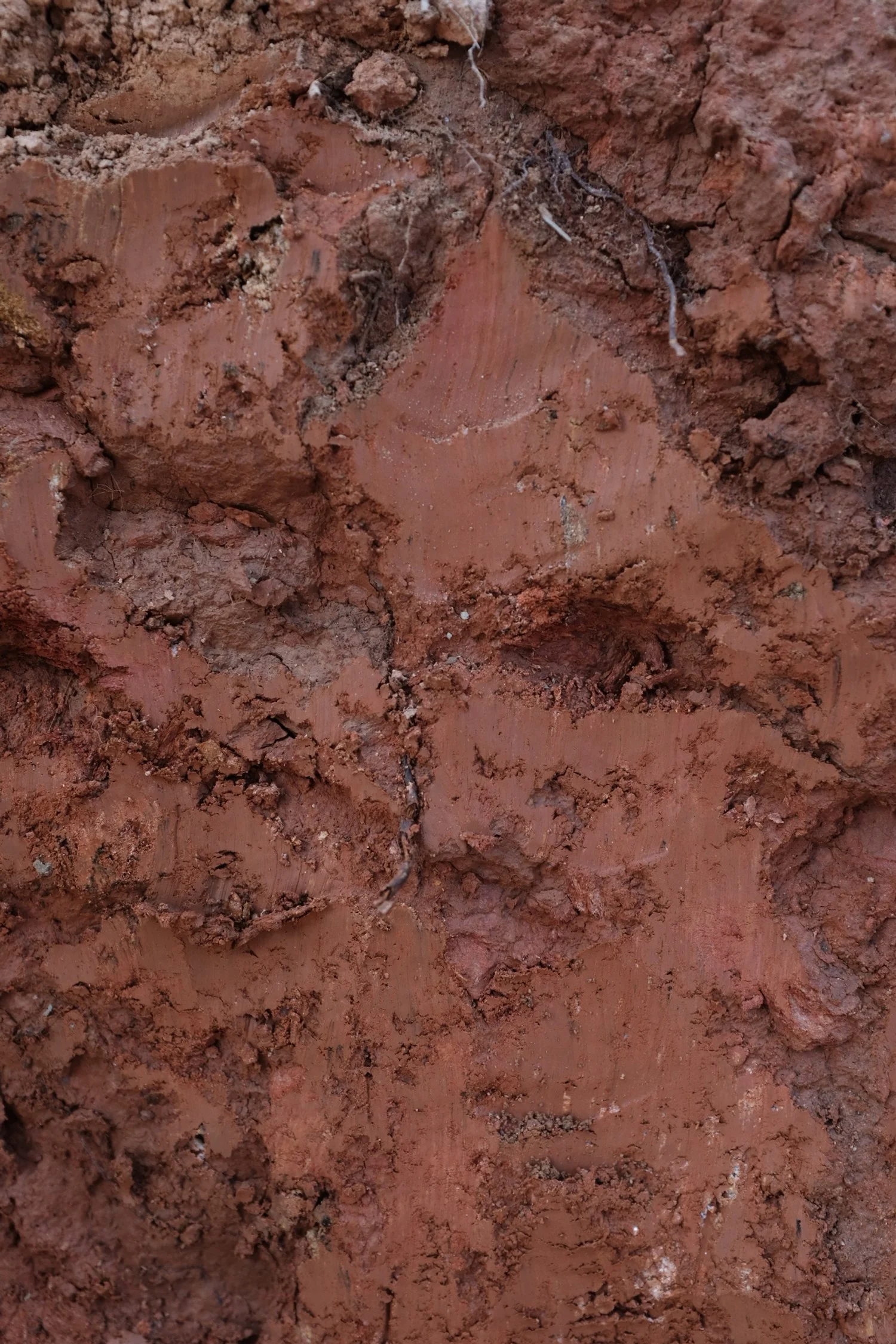 FA532ABE-005B-4CD2-A2C7-FCB05EDB1E2A-3626-000000E1E077C893 2.JPG