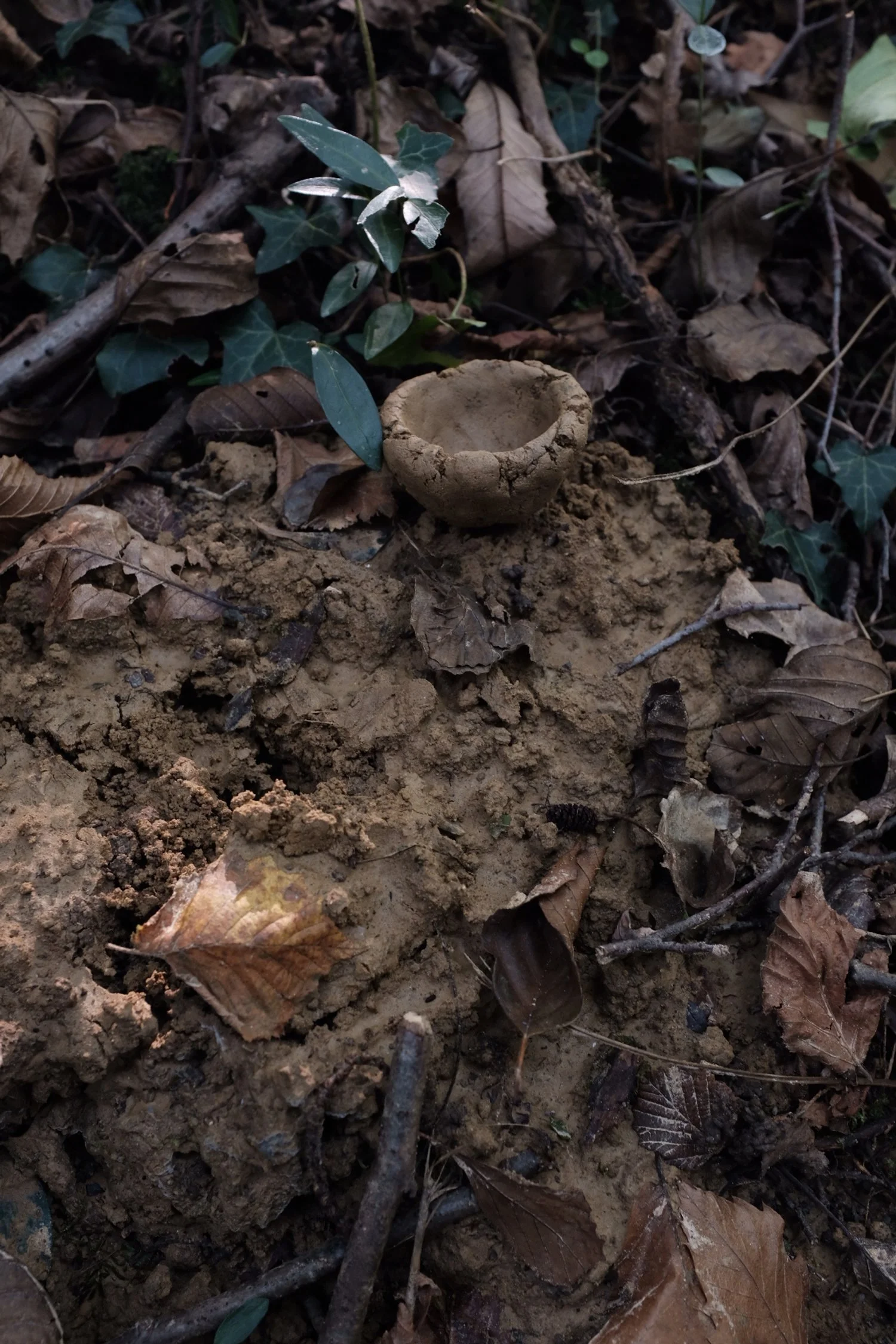 A8497518-56DC-4AAA-8234-B4856FA3A9DE-2229-0000006C0D72D7B4 2.JPG