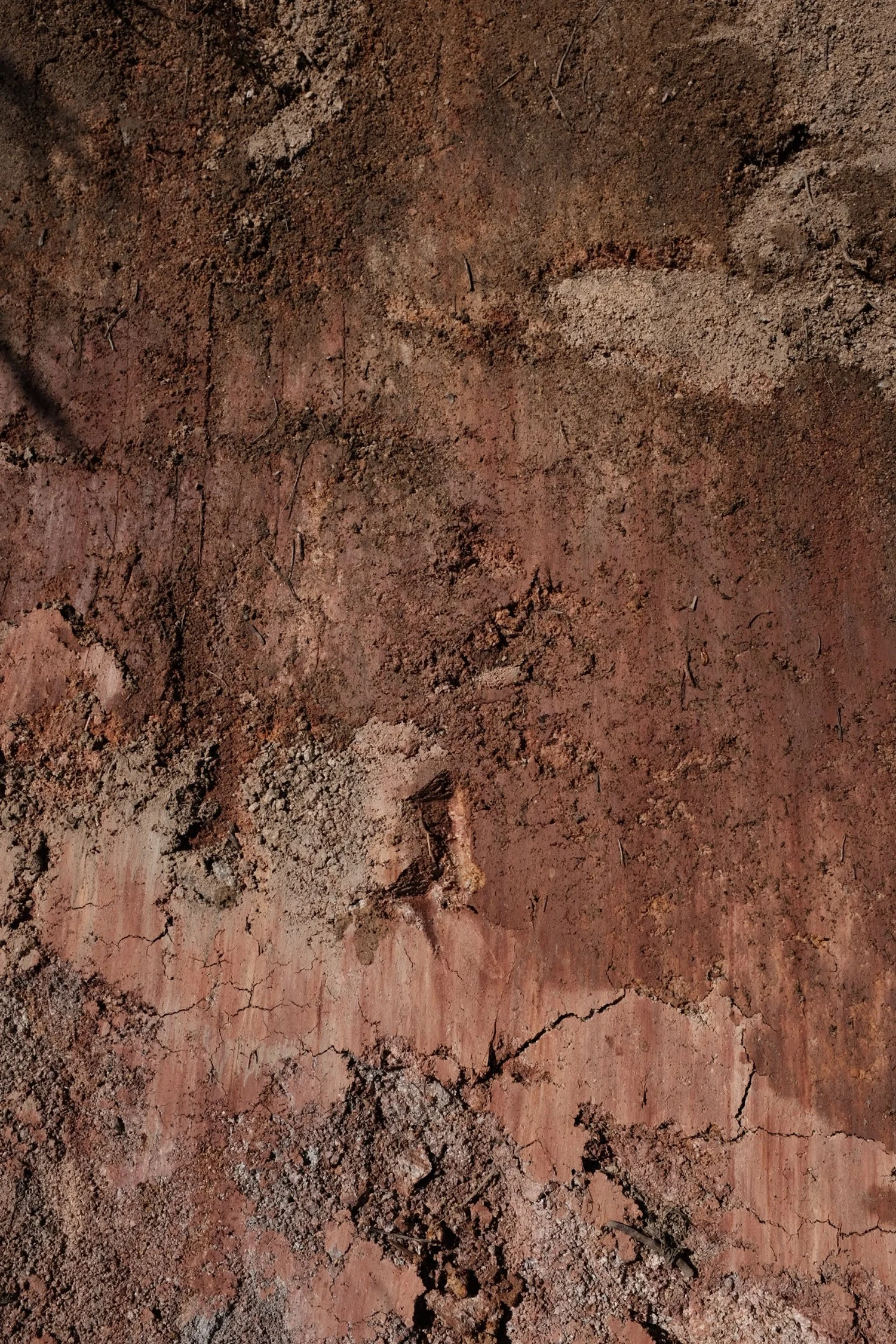 337C9E76-CD33-417F-BABA-17179D4689CC-6543-0000014E5AE8C705 2.JPG