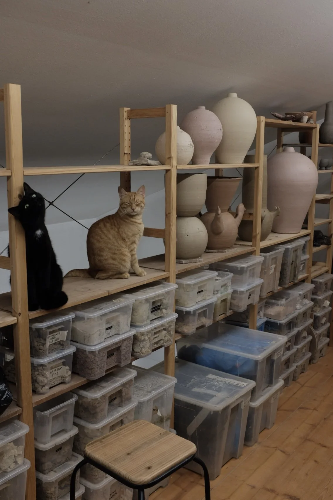 6E7BE3A8-6D08-40E2-96B9-0CC3F2BBDC8C-12645-000003CD47A9B59E 2.jpg