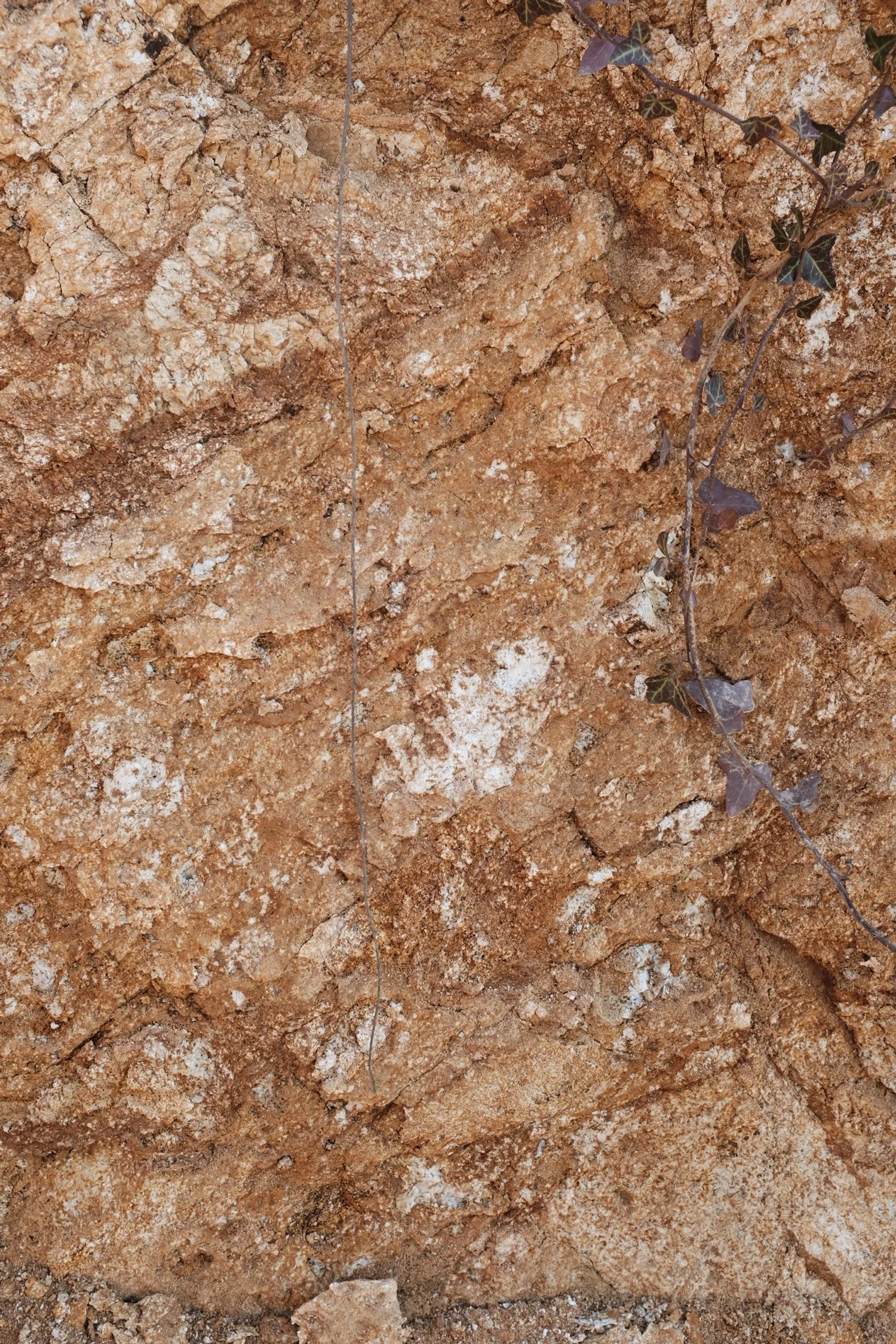 F2D74C3E-7545-4AFB-996D-A3767CB25FFF-3626-000000E27C5D2CB8 2.JPG