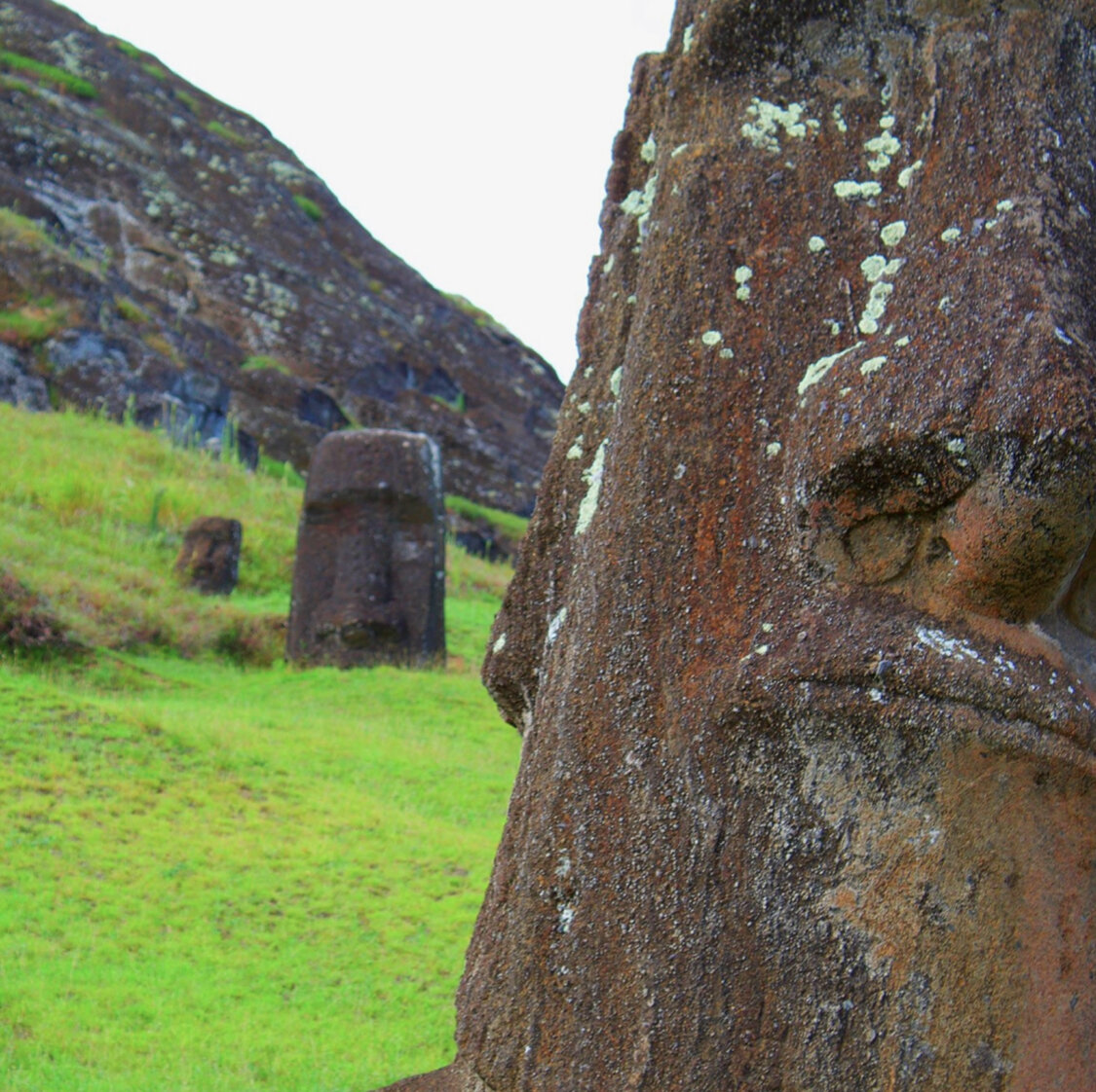 Moai Movements
