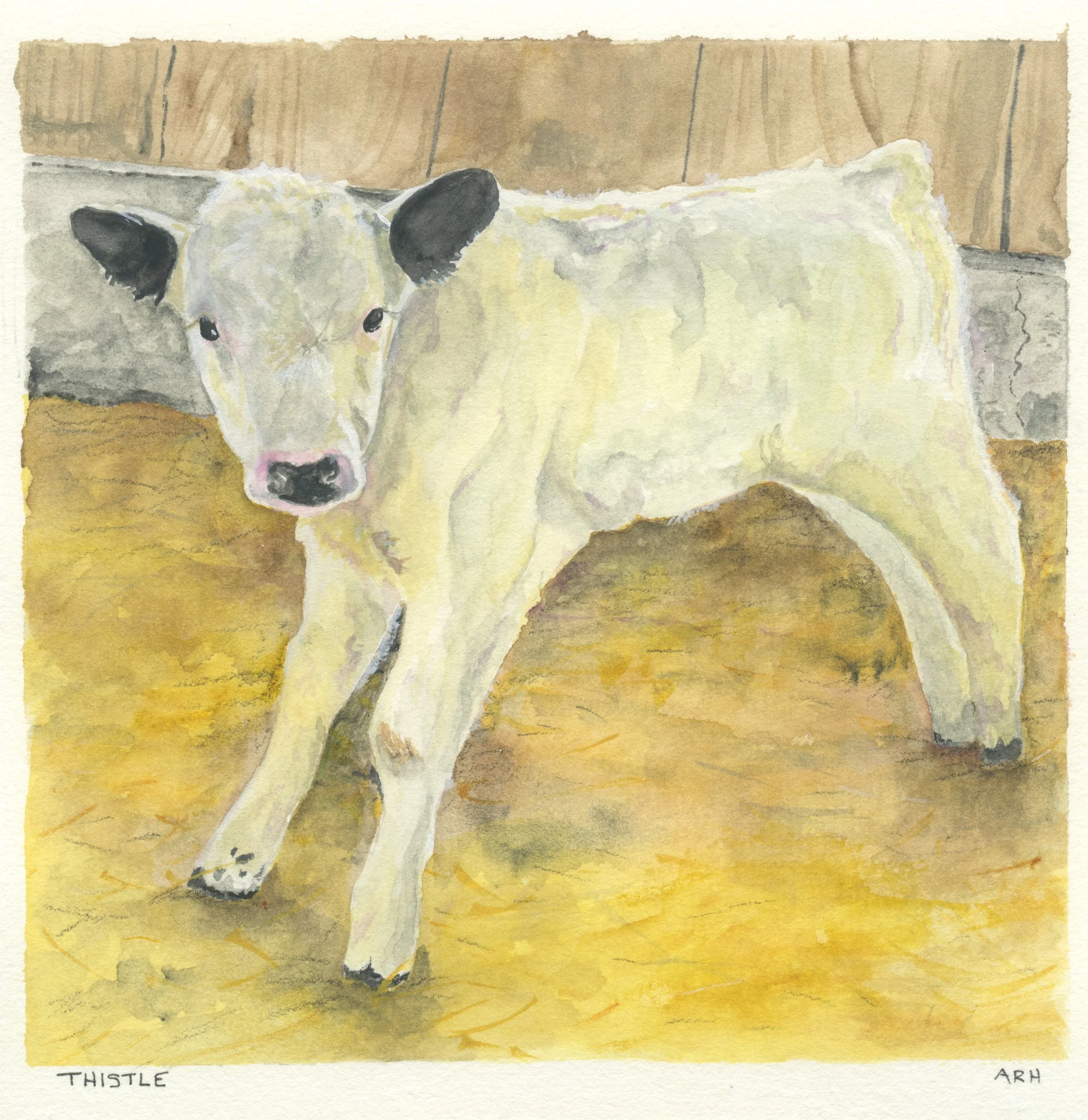 Berle Farm Calendar 06.jpg