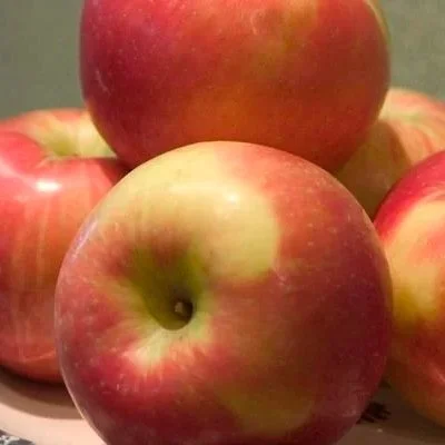 Red Baron Apple  Std  11/16"