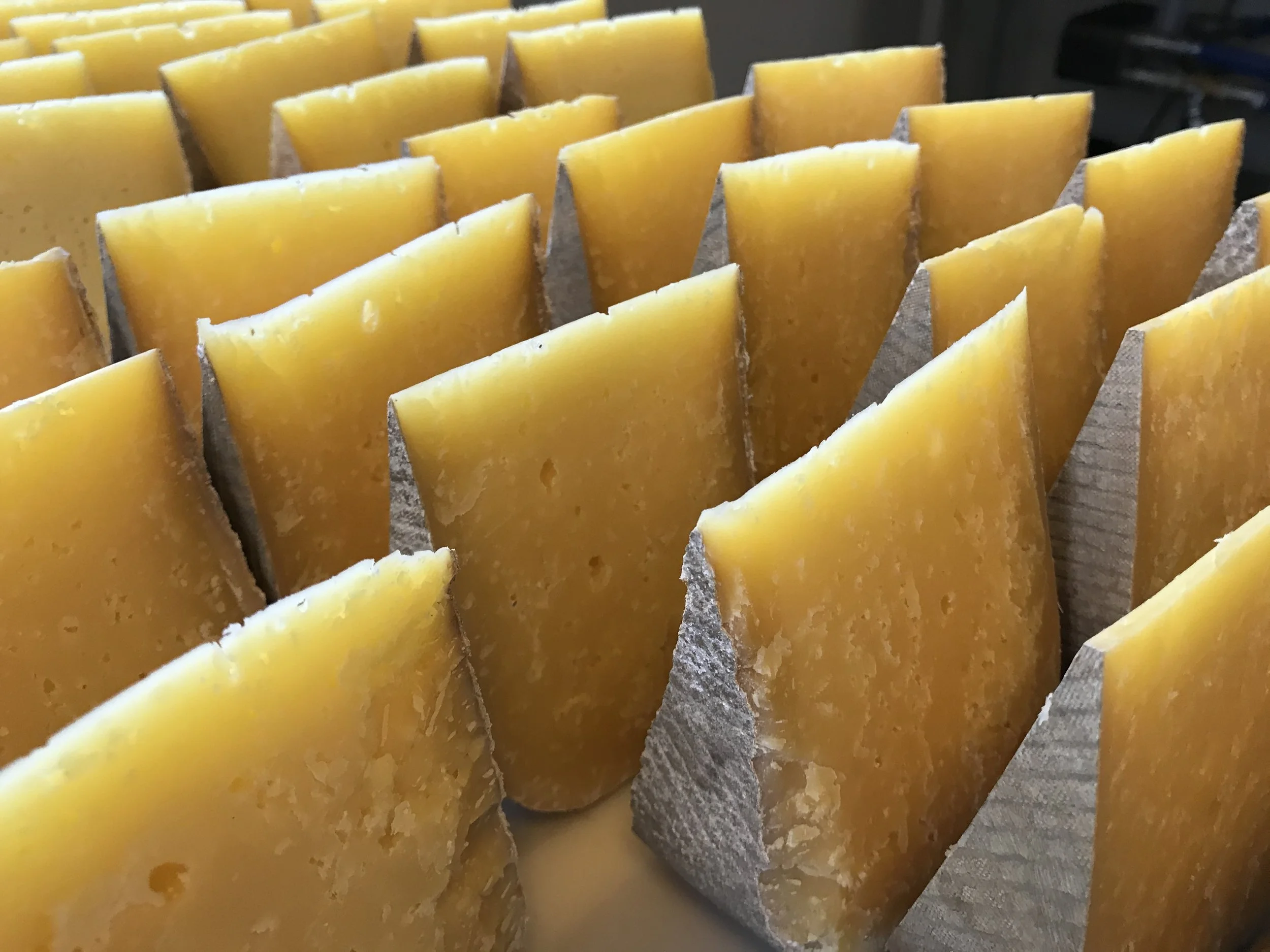 Cheese Cut Hunks.jpg