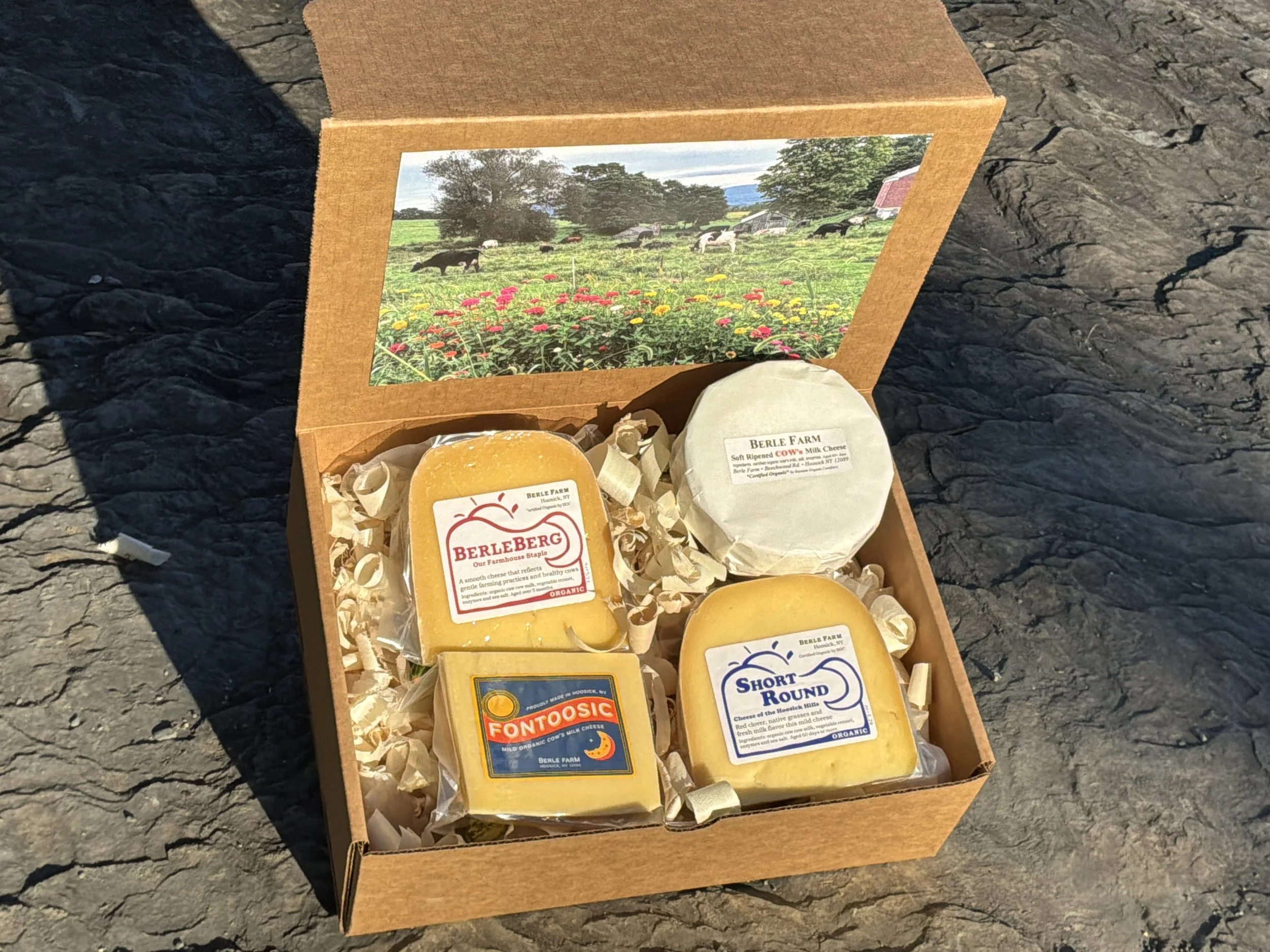 all cheese.JPG
