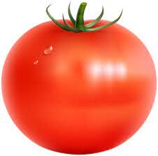 tomato test.jpeg